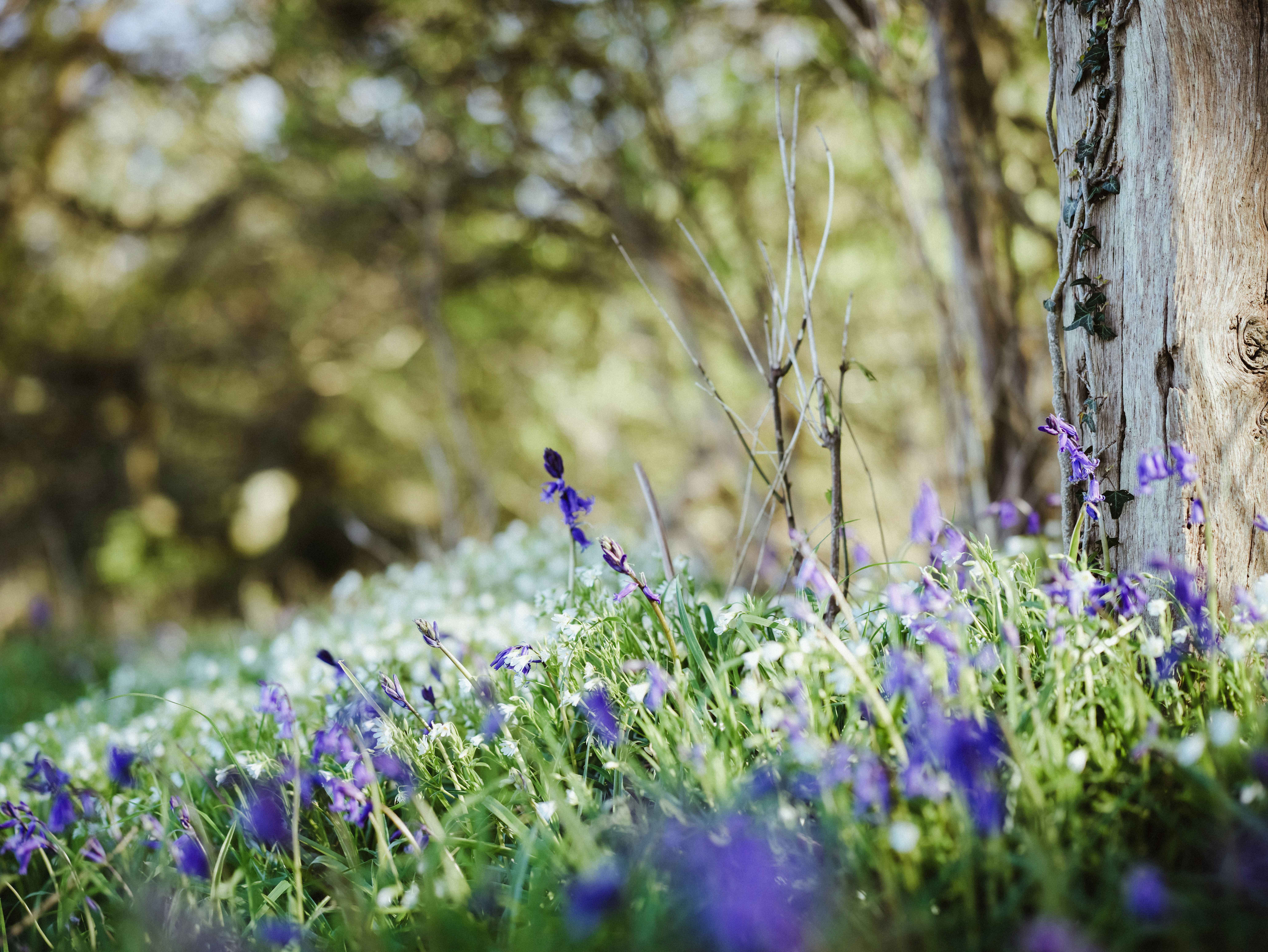 Photo by anniespratt