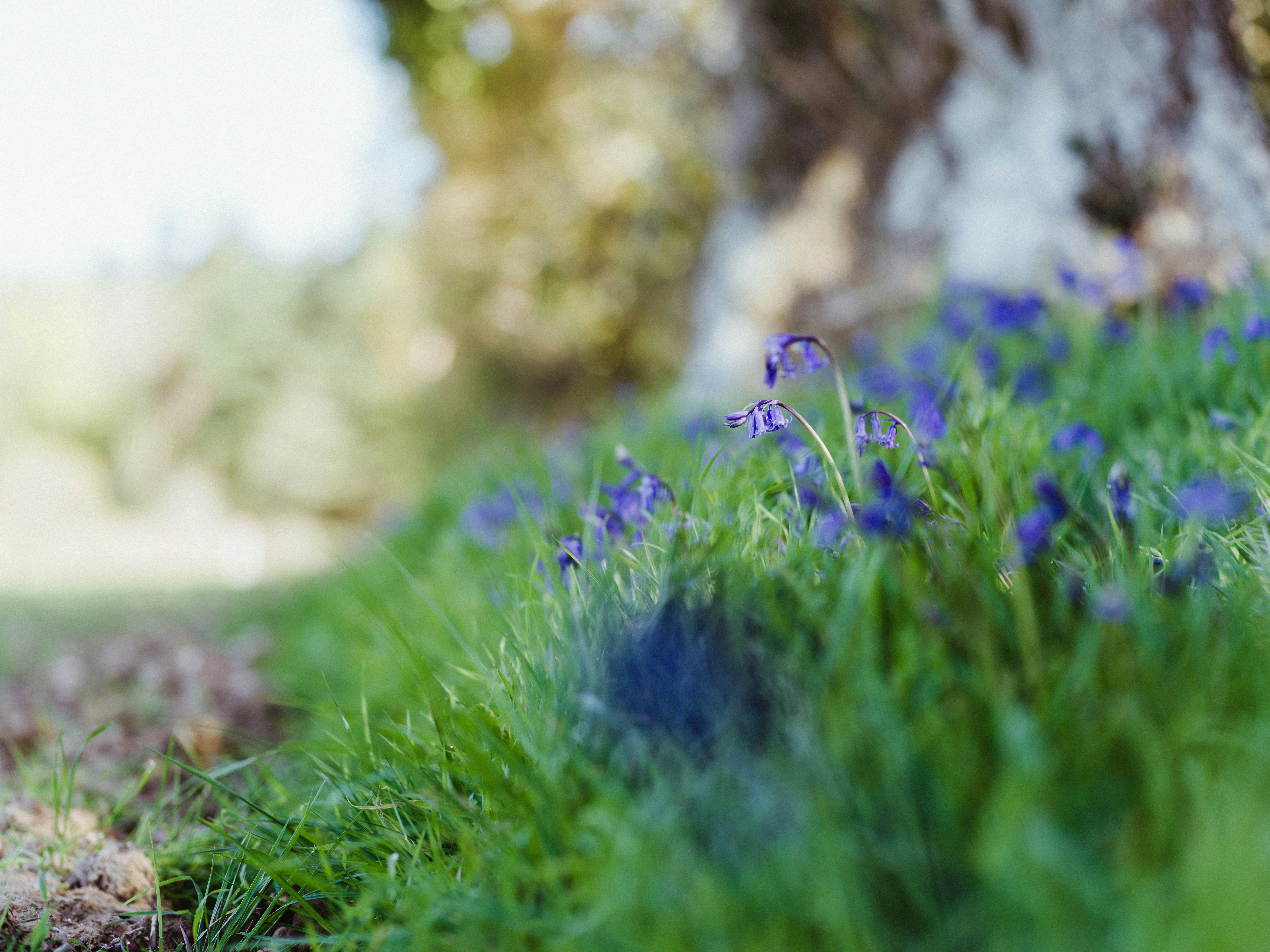 Photo by anniespratt