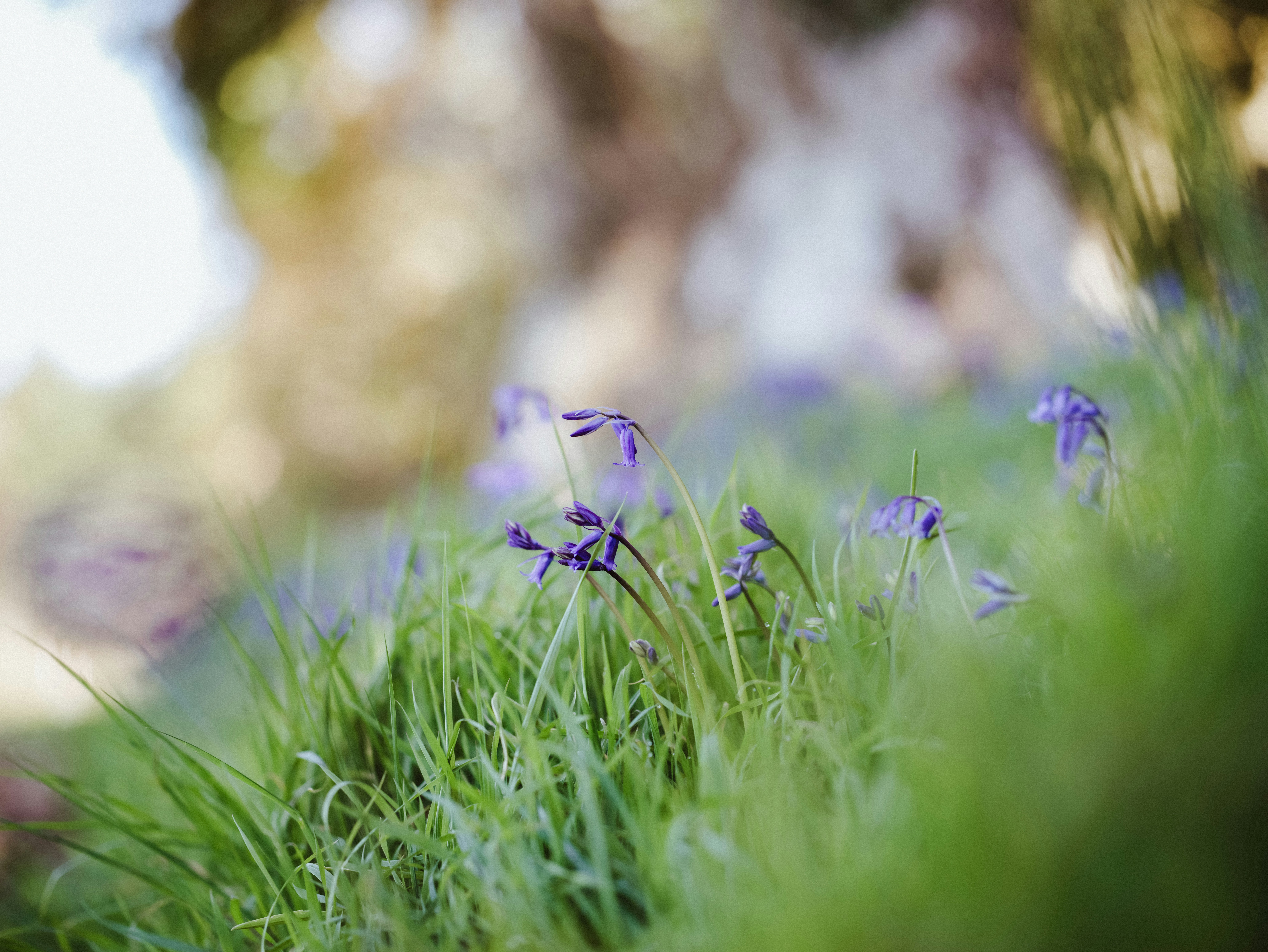 Photo by anniespratt