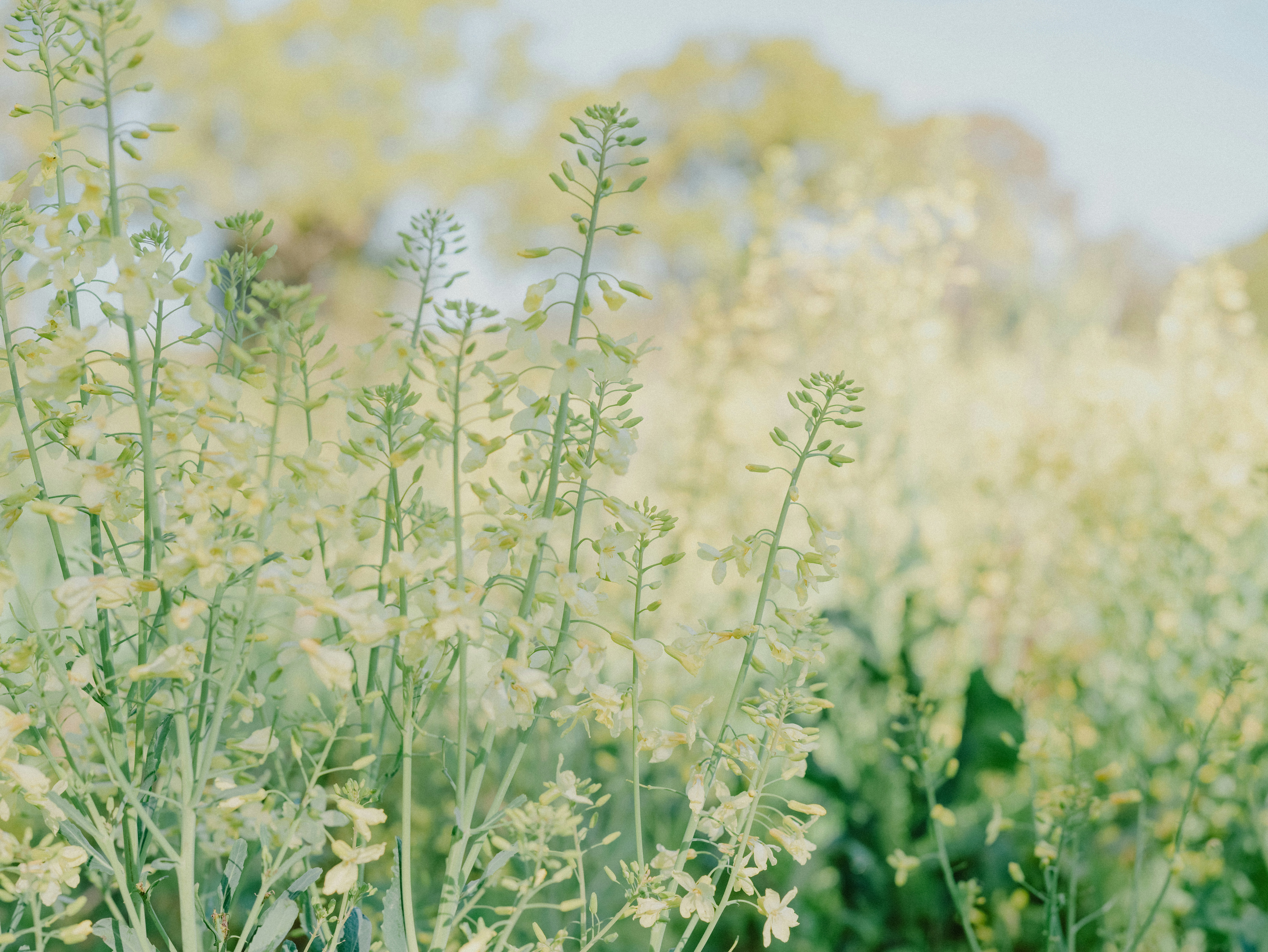 Photo by anniespratt