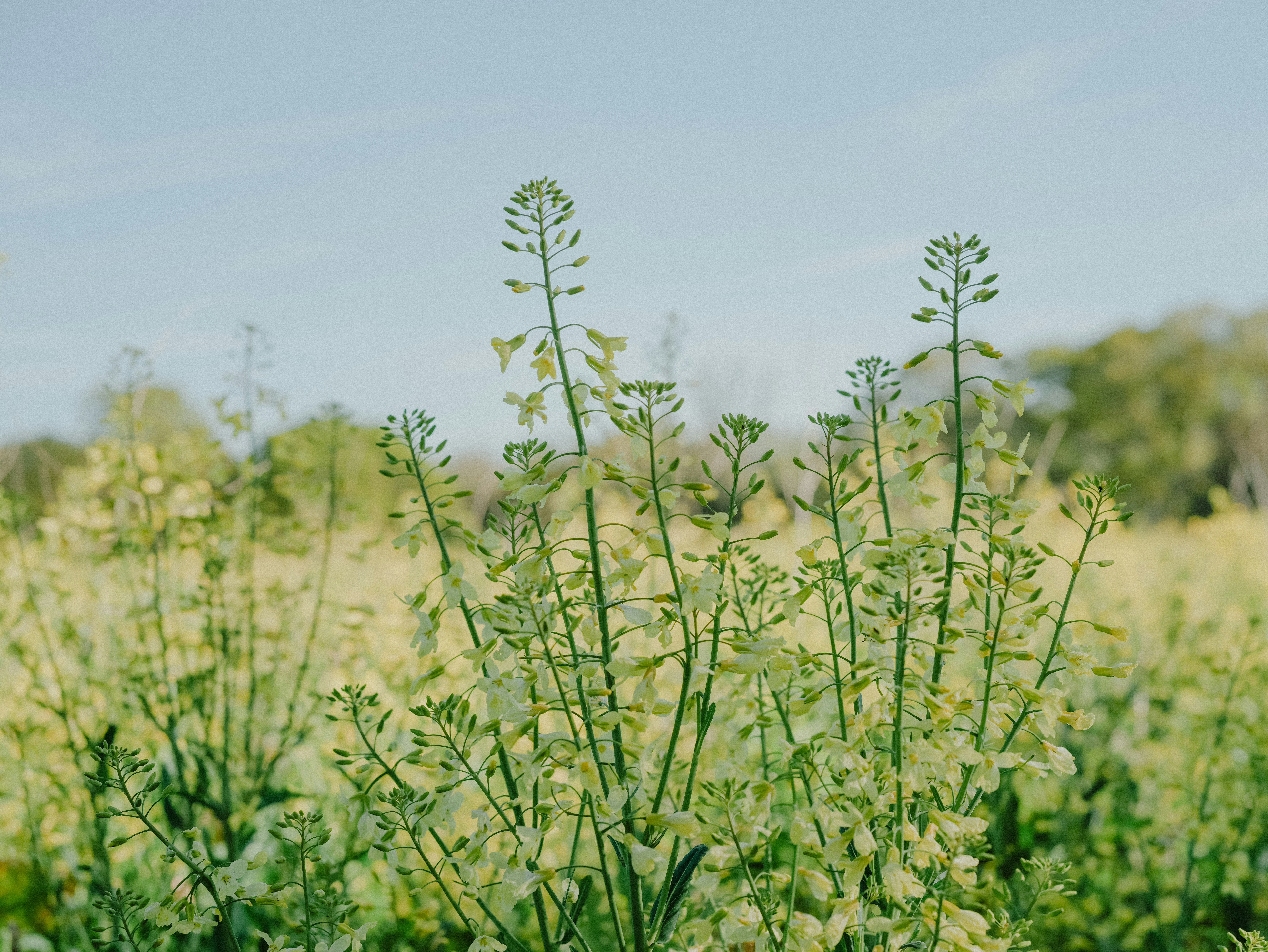 Photo by anniespratt