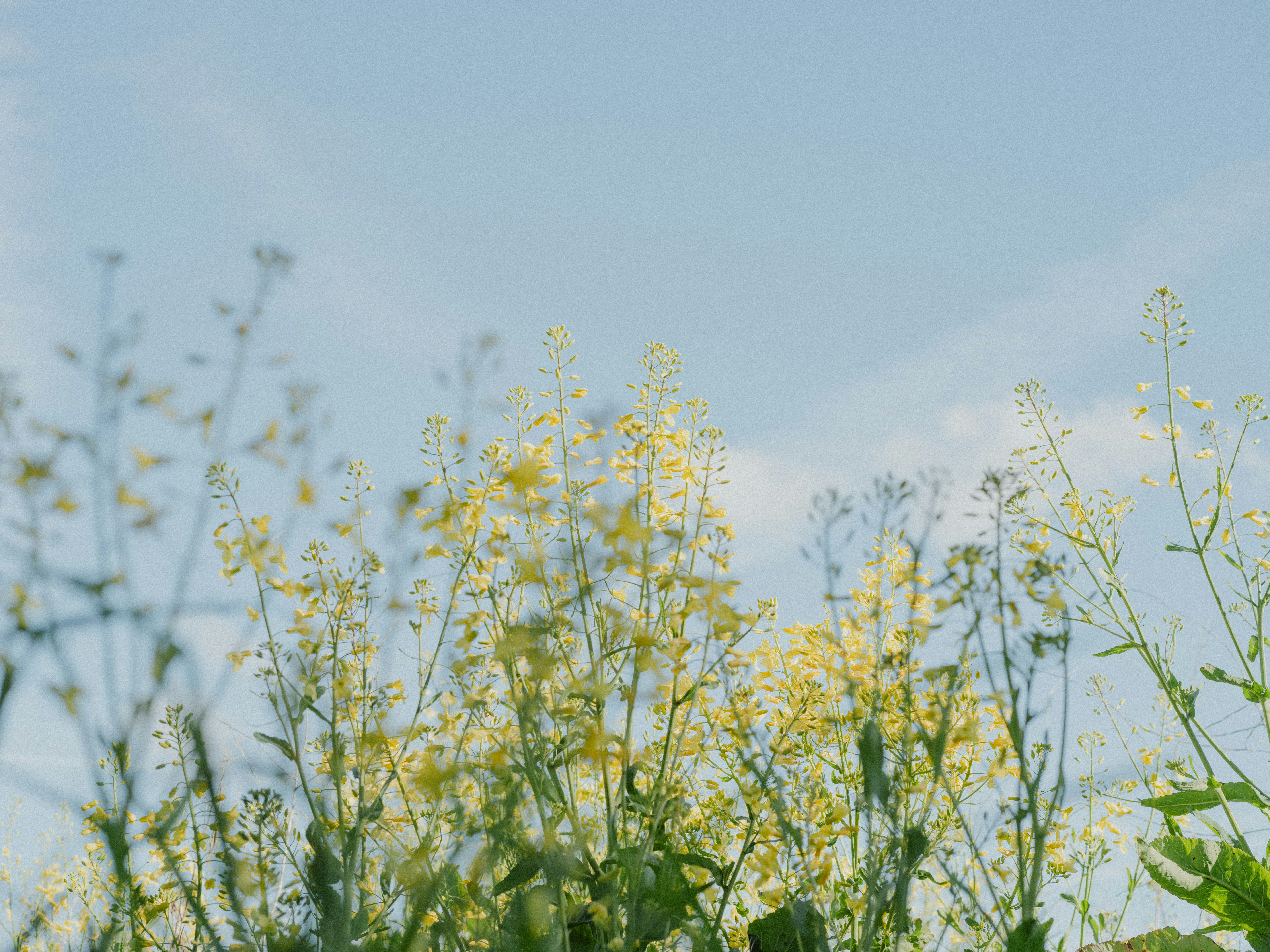 Photo by anniespratt