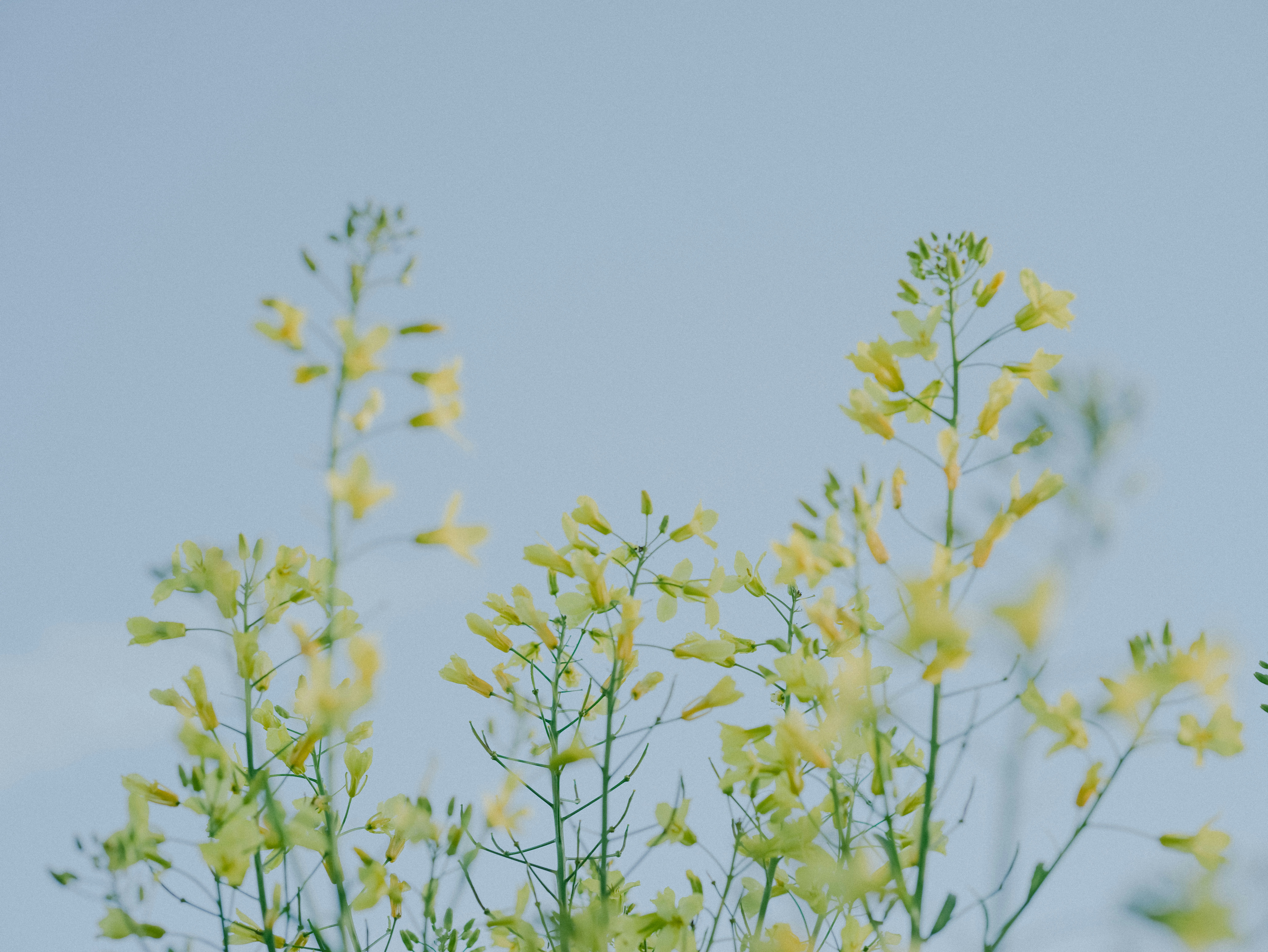 Photo by anniespratt