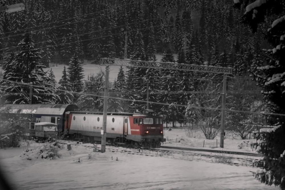 un treno che viaggia attraverso una foresta innevata