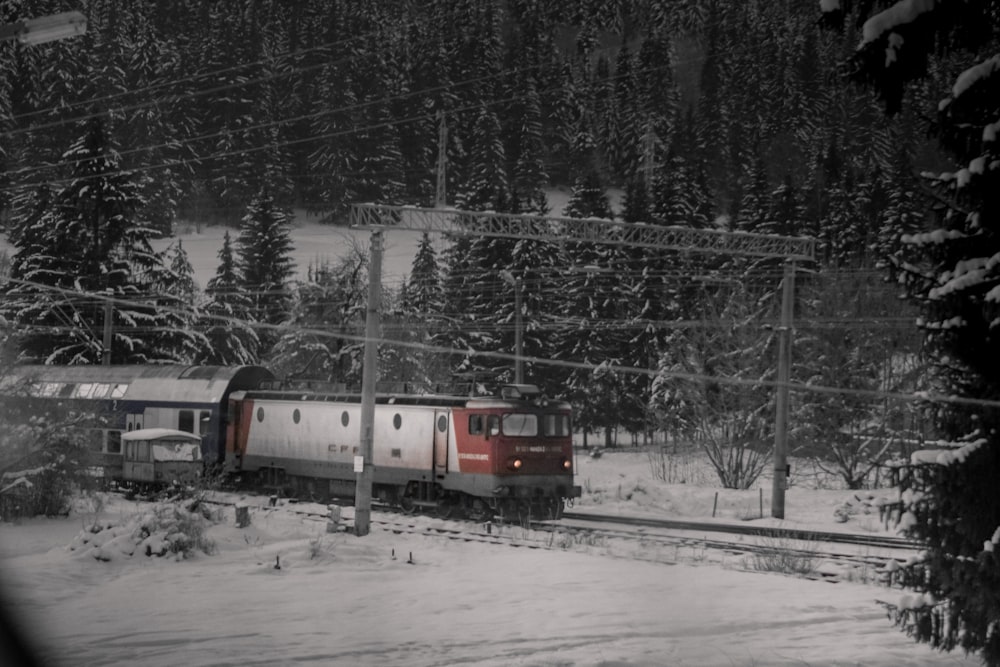 a train traveling through a snow covered forest