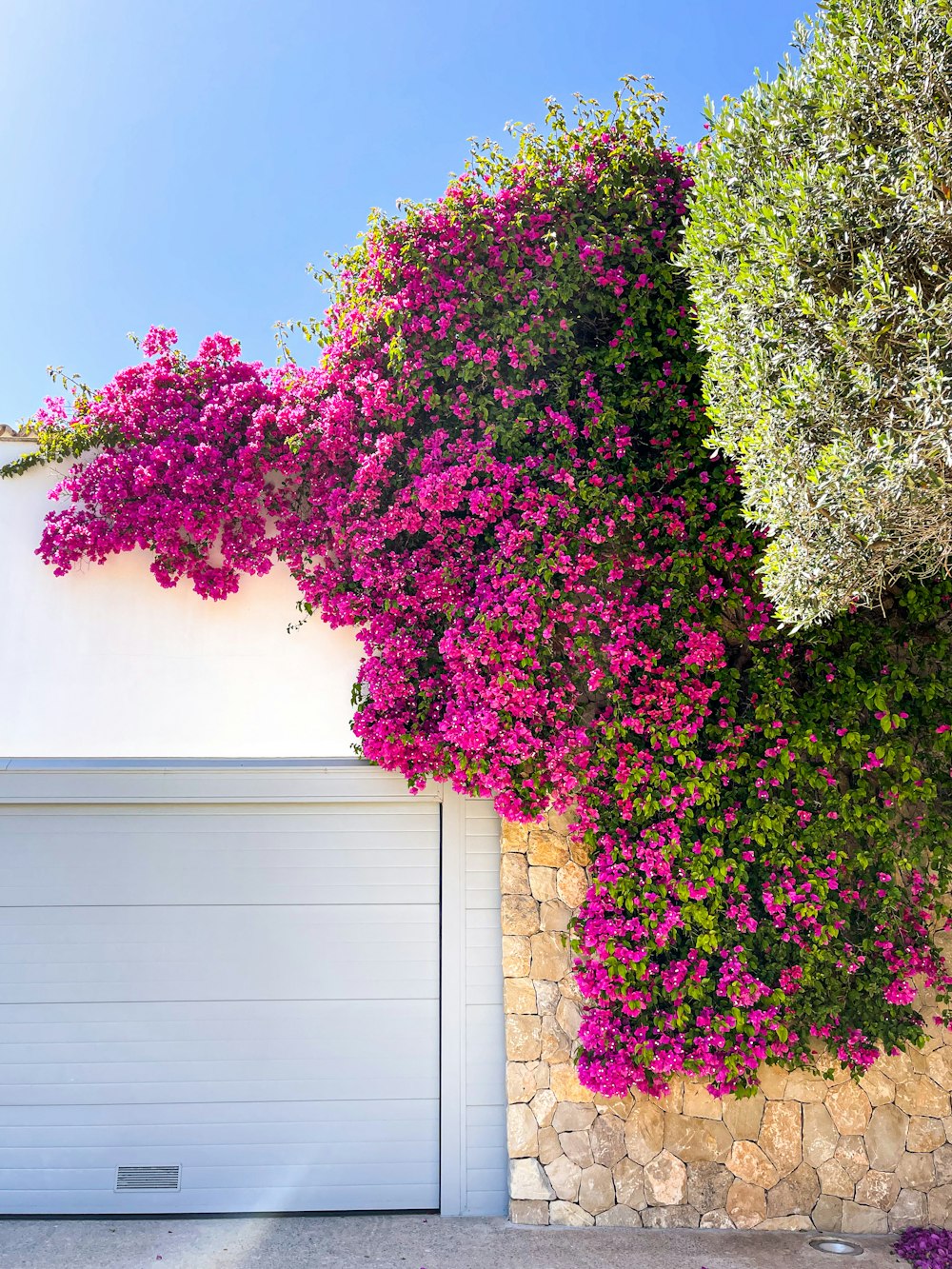 una porta bianca del garage seduta accanto a un muro coperto di fiori viola