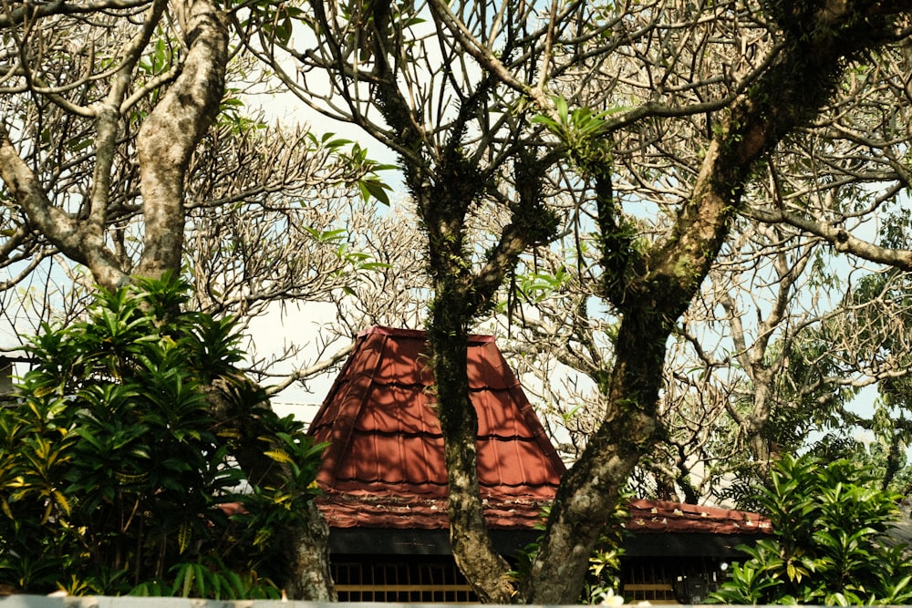 a view of a red roof through the trees