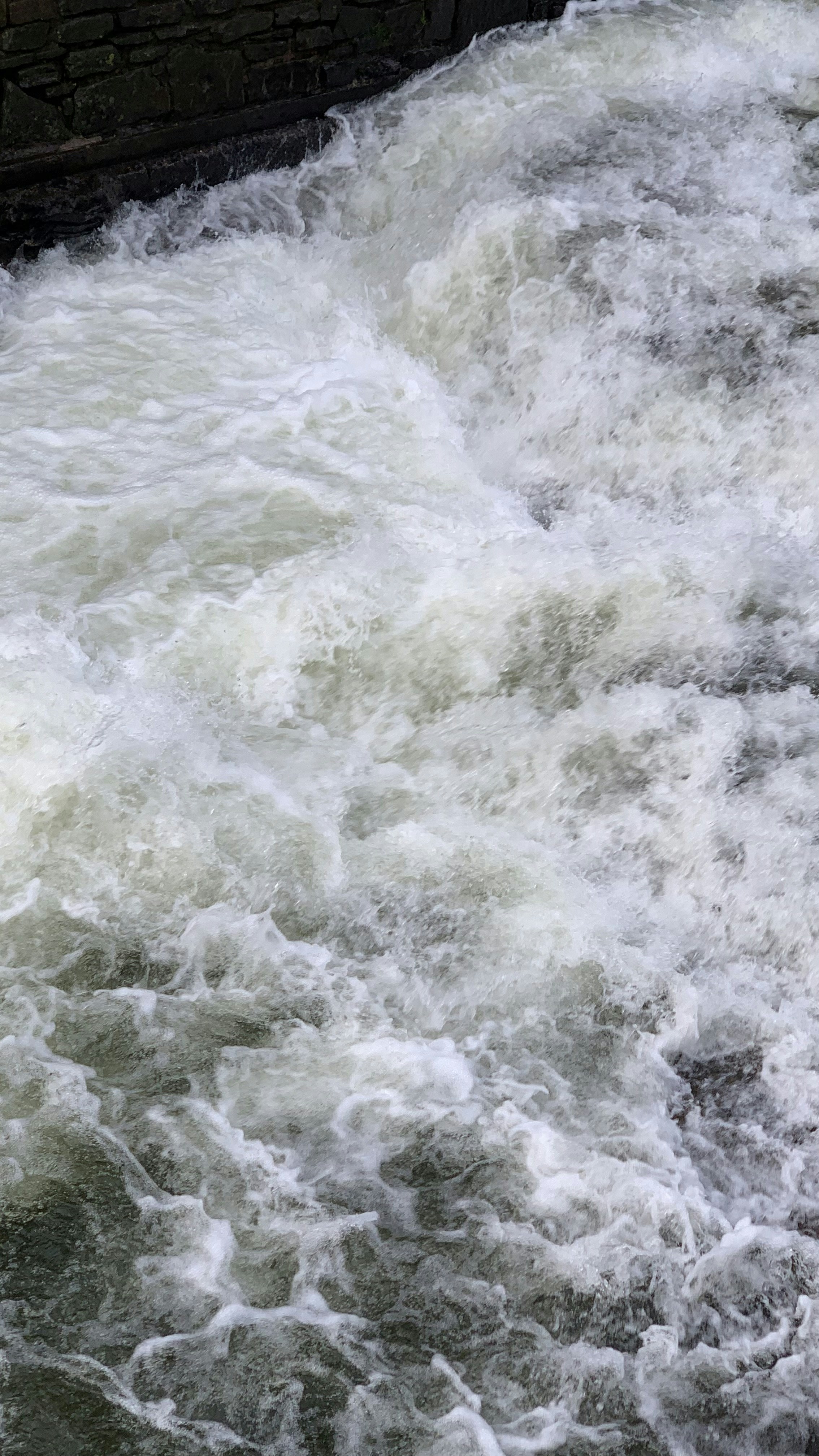 Photo by andywatkins