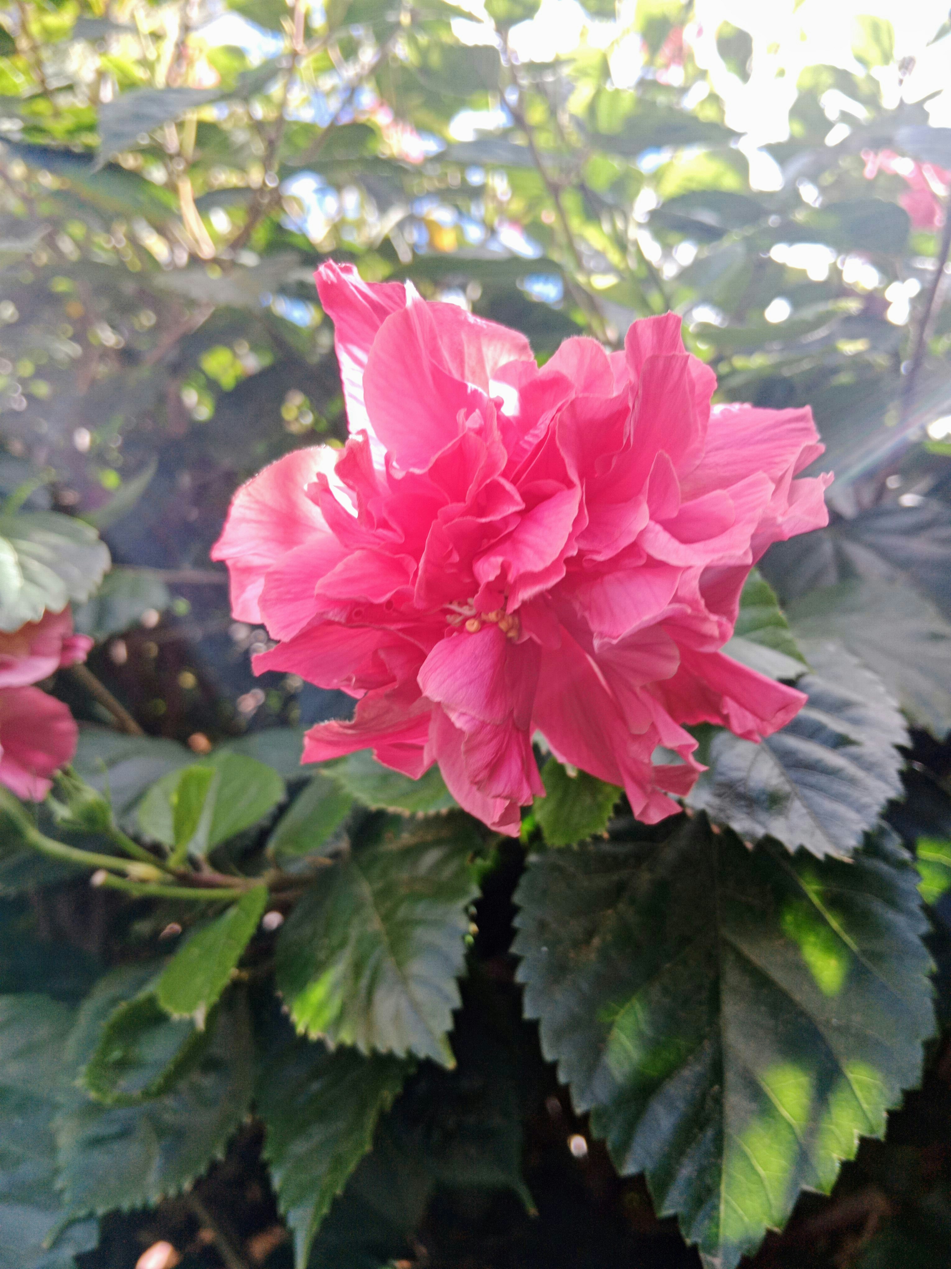 Photo by xxethan22xx