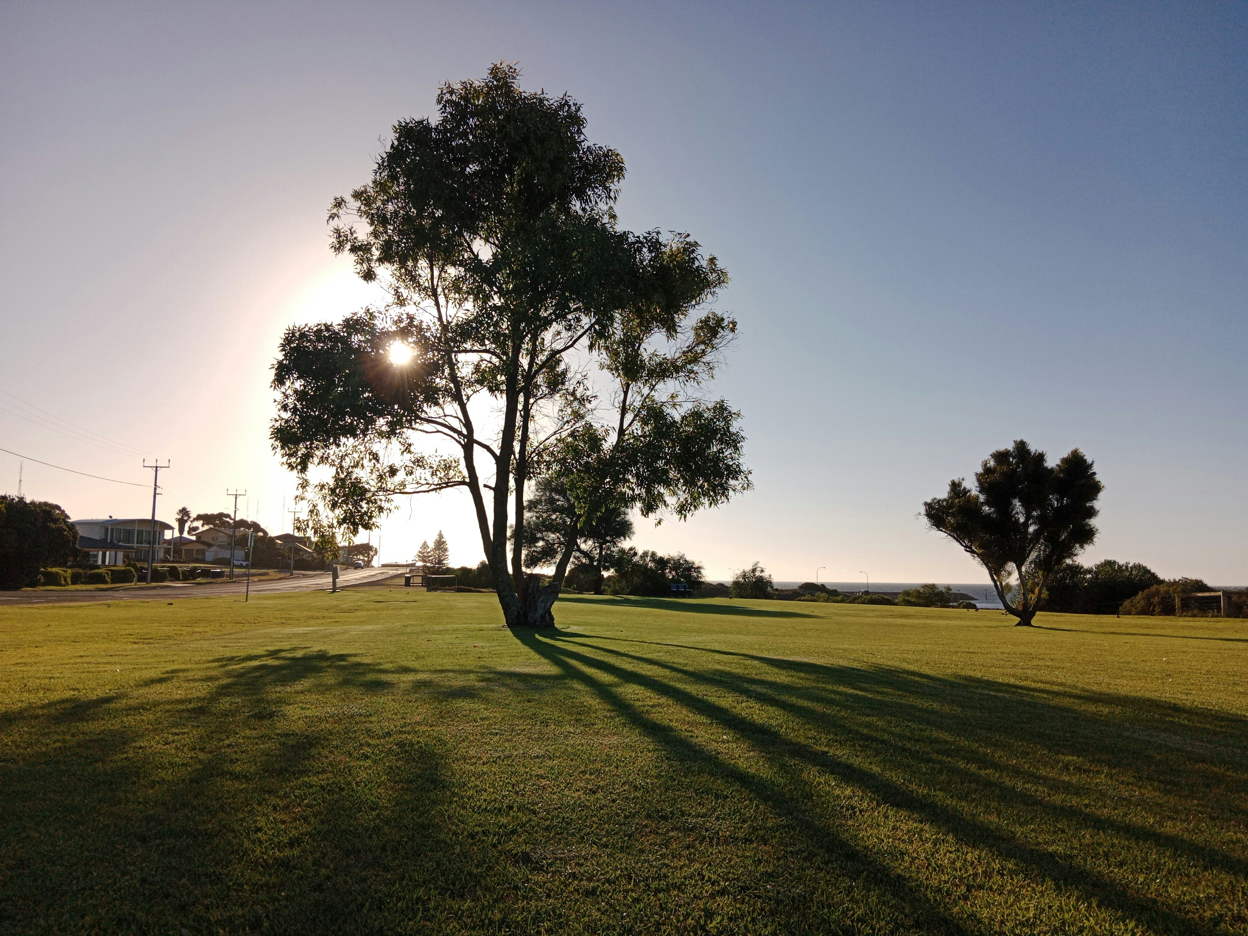 Photo by xxethan22xx