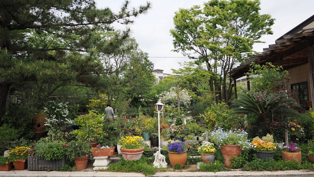 a bunch of potted plants in front of a house