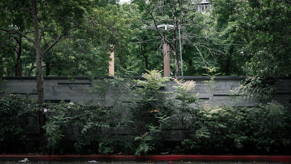 a concrete wall surrounded by trees and bushes