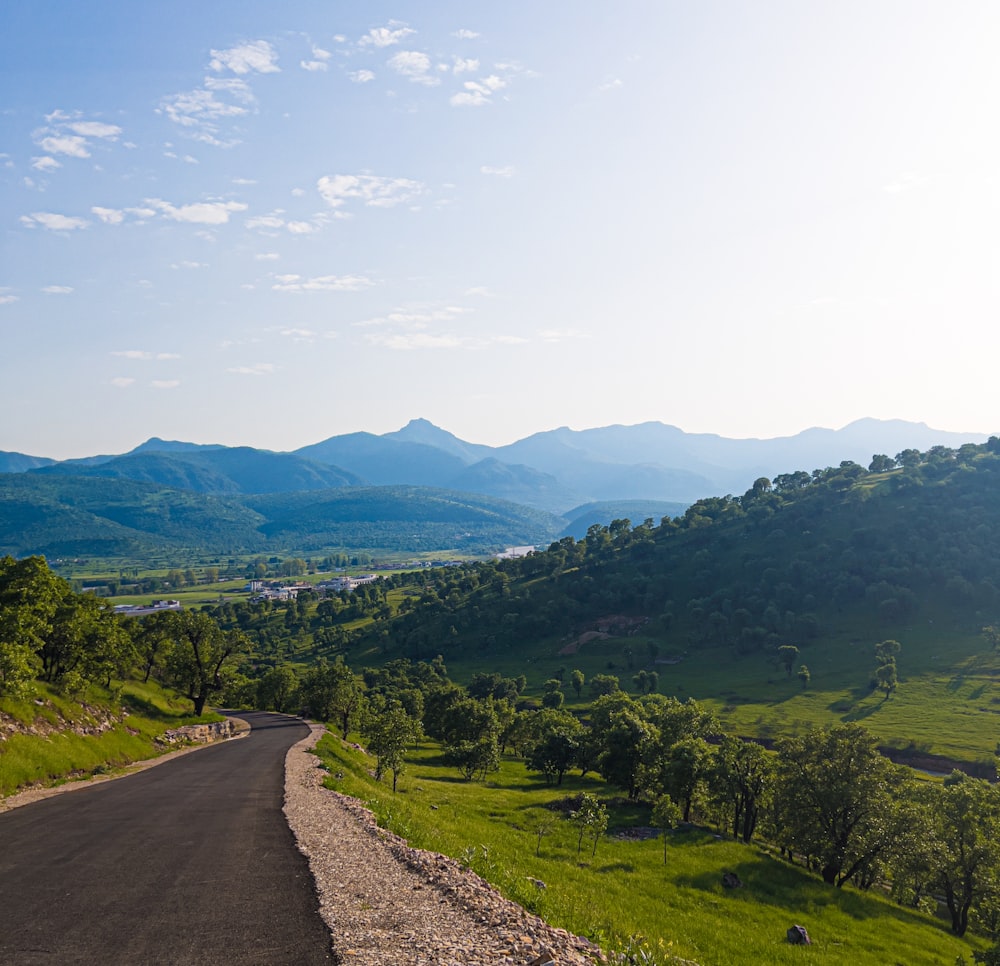 a scenic view of mountains and a road