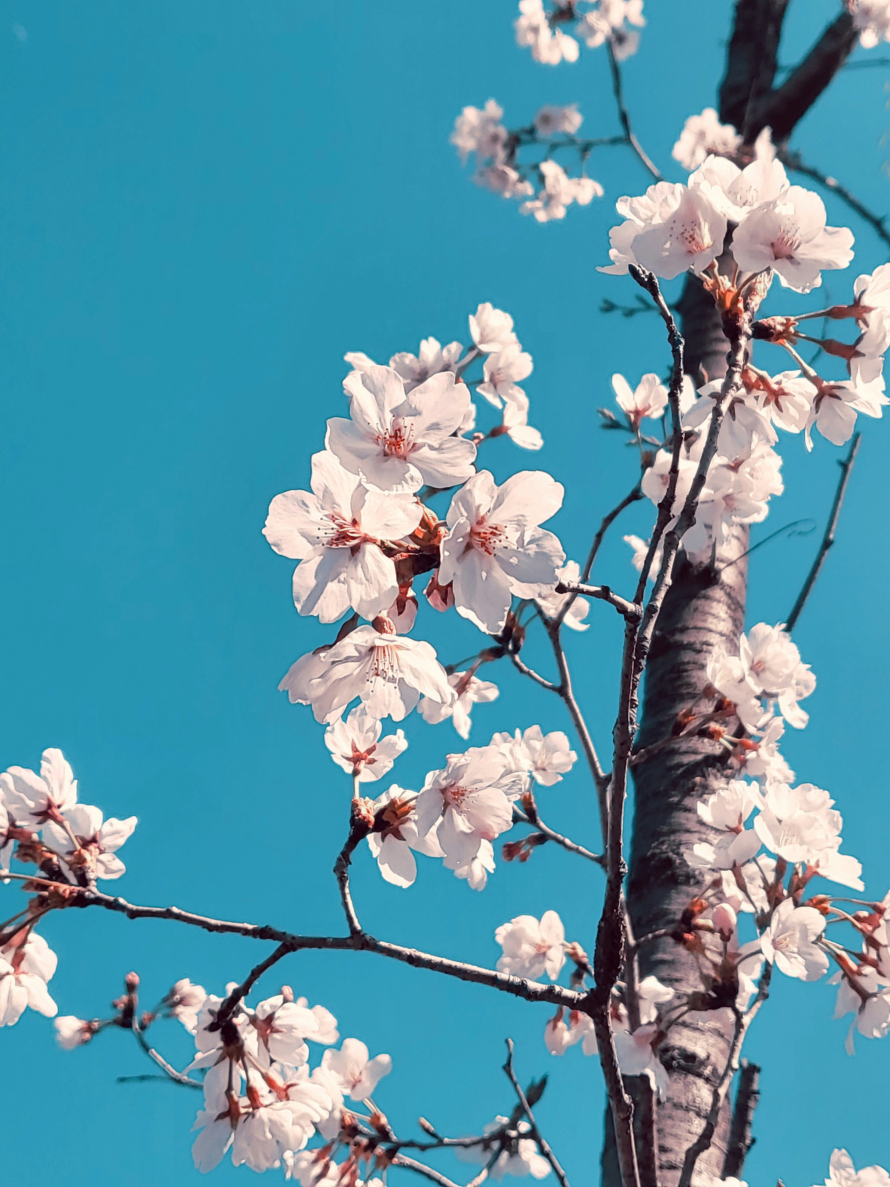 Photo by memenito_96