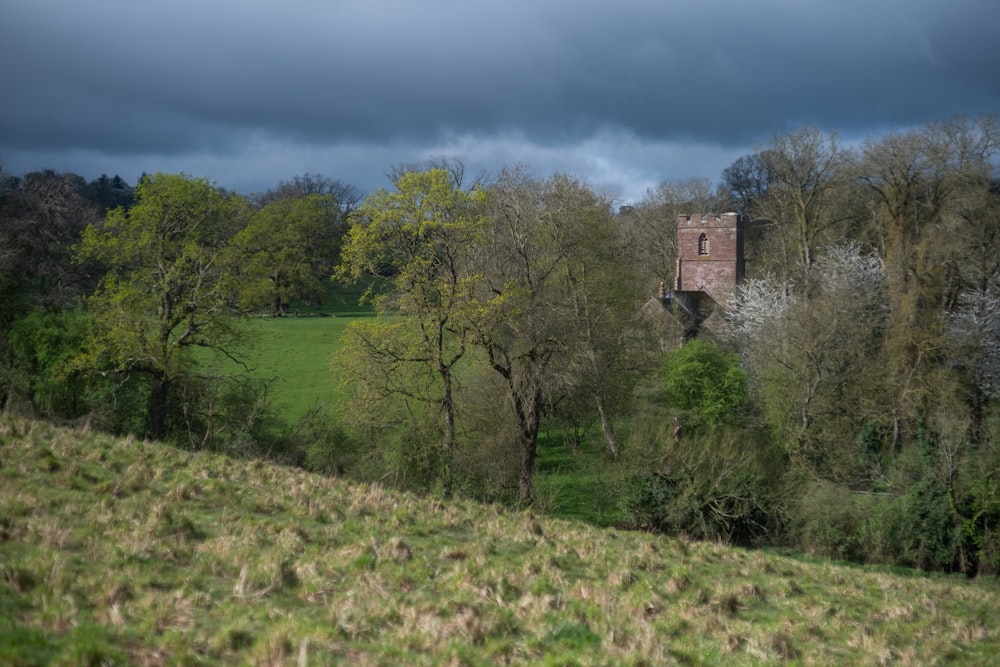 a field with trees and a building in the background