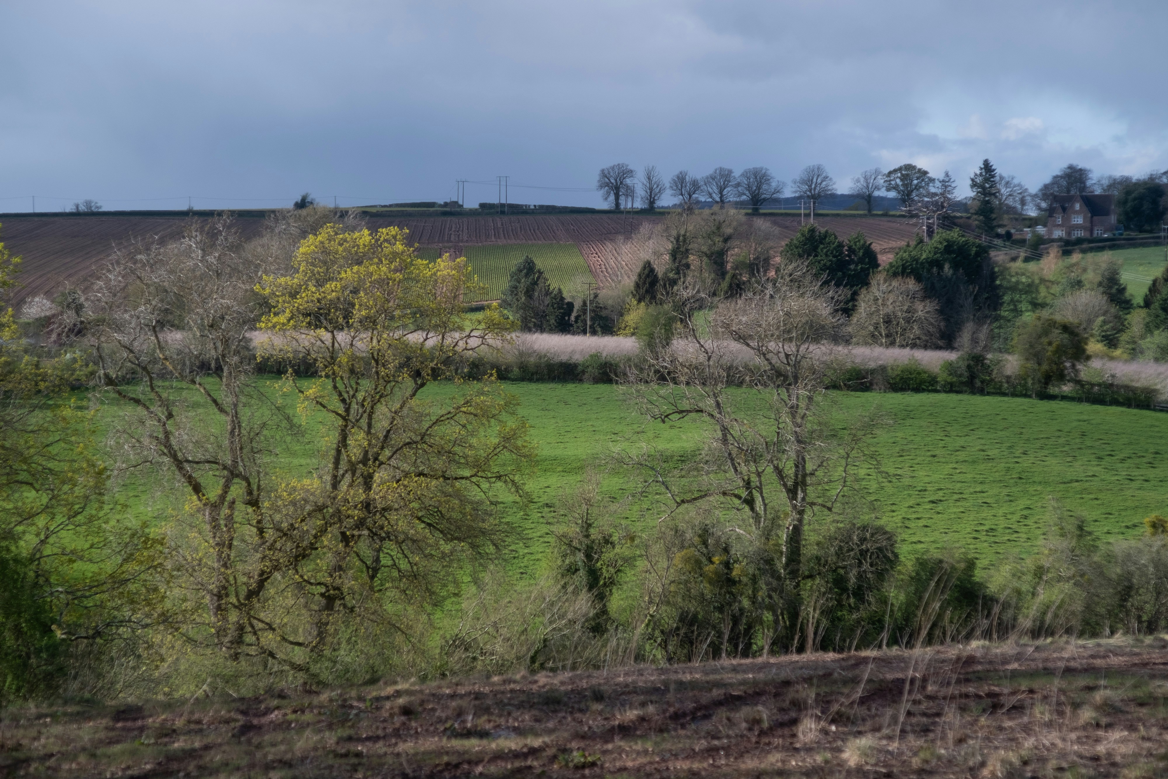 Photo by veronicaa_white