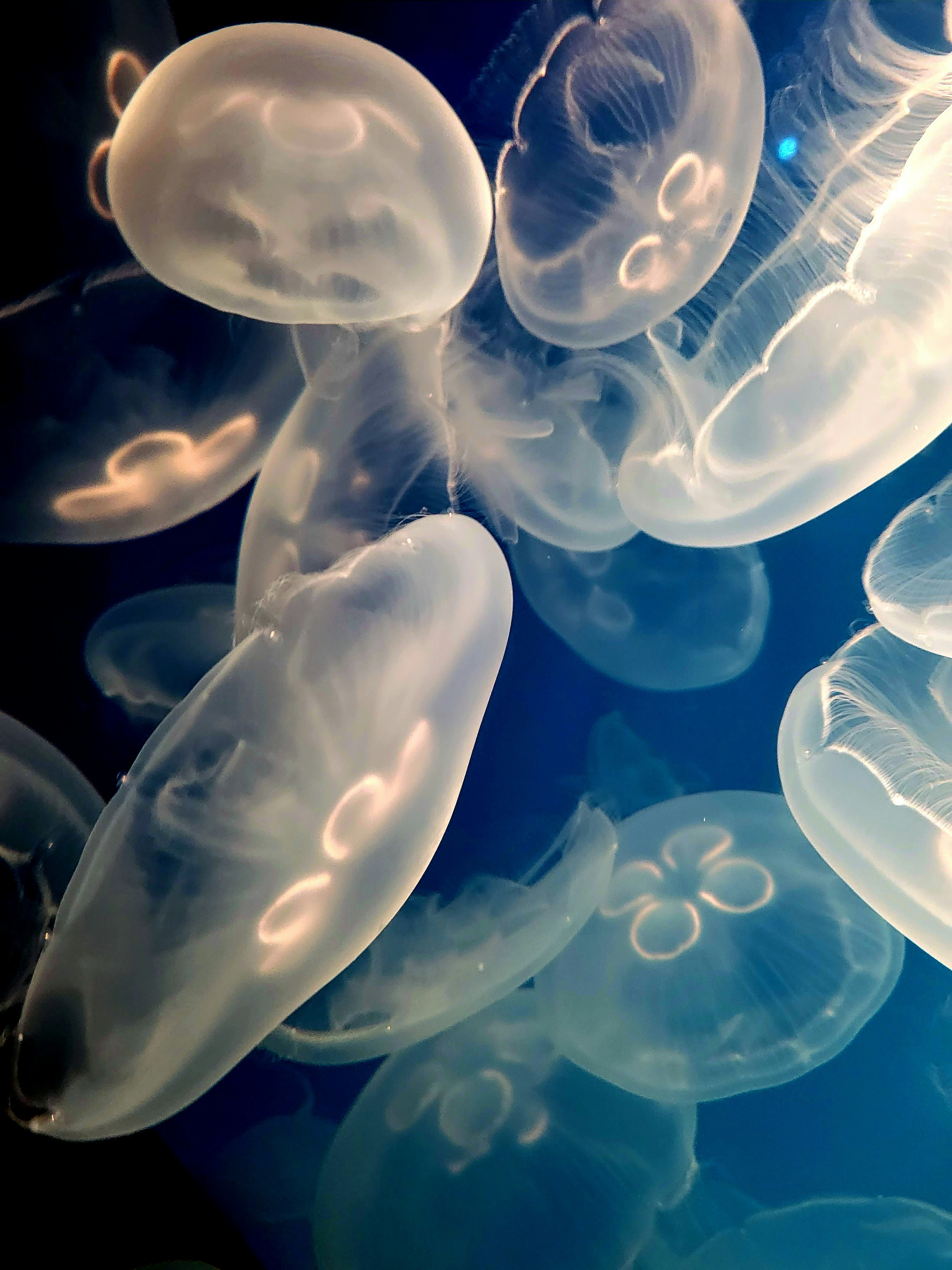 Photo by memenito_96