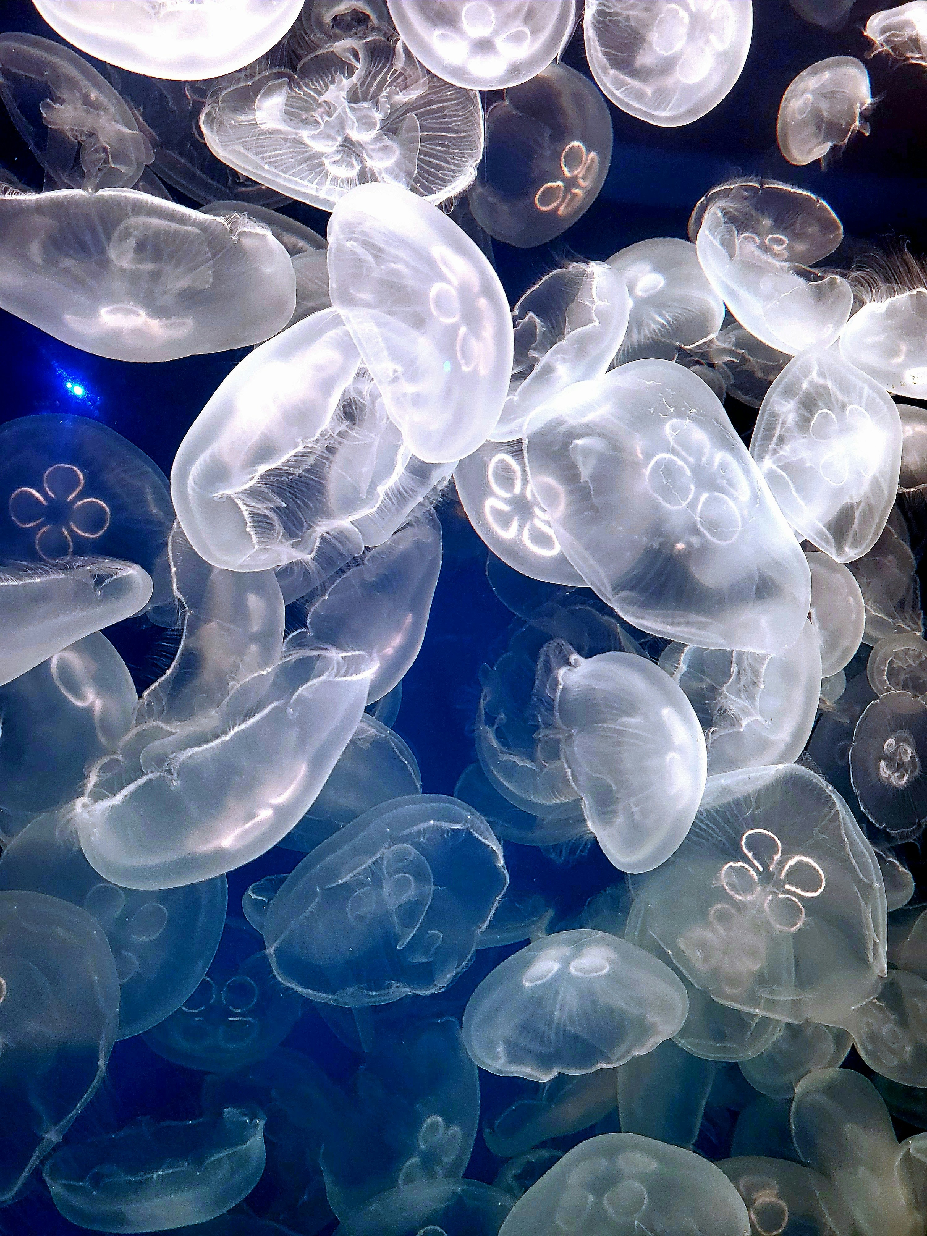 Photo by memenito_96