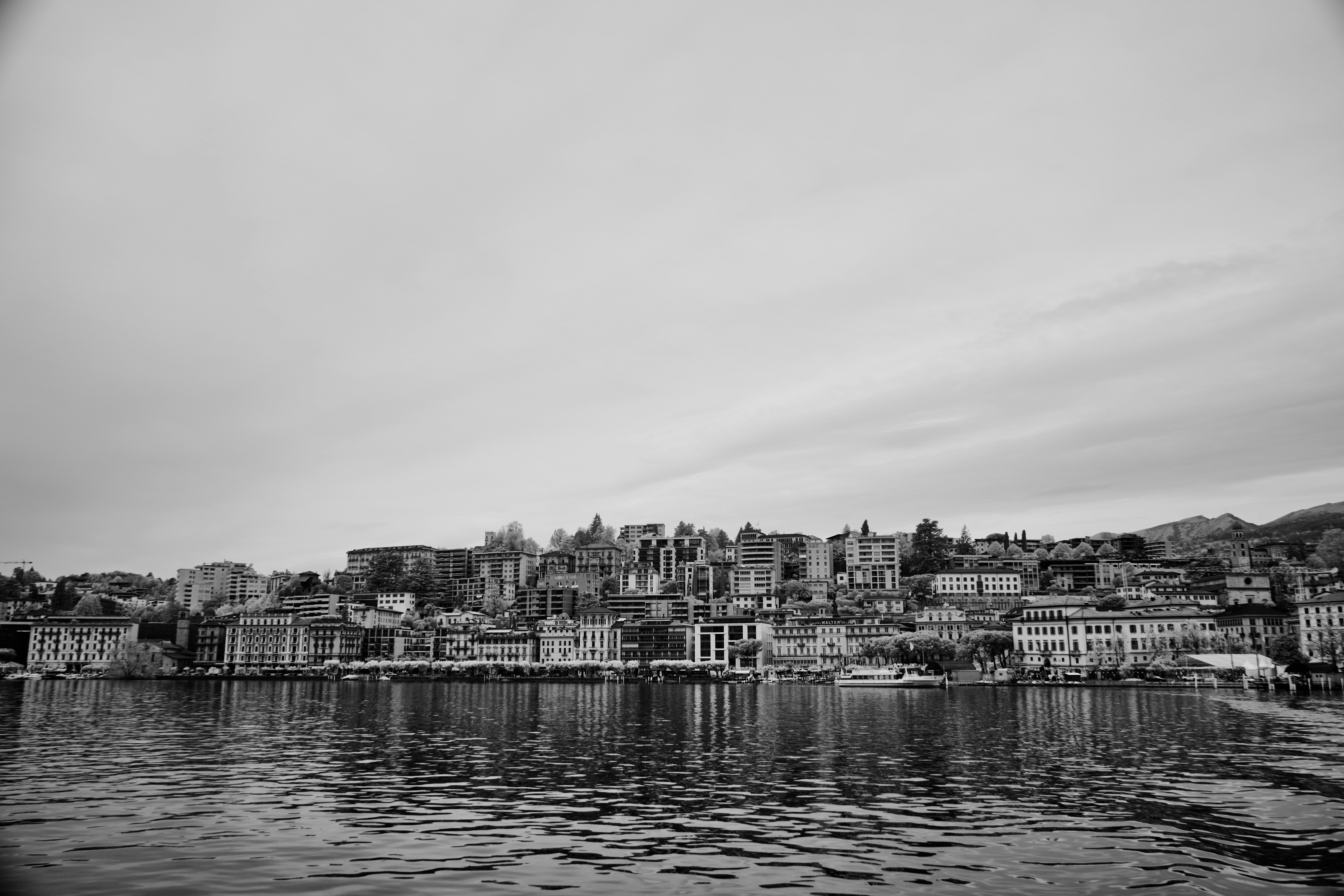 Photo by wolfgang_hasselmann