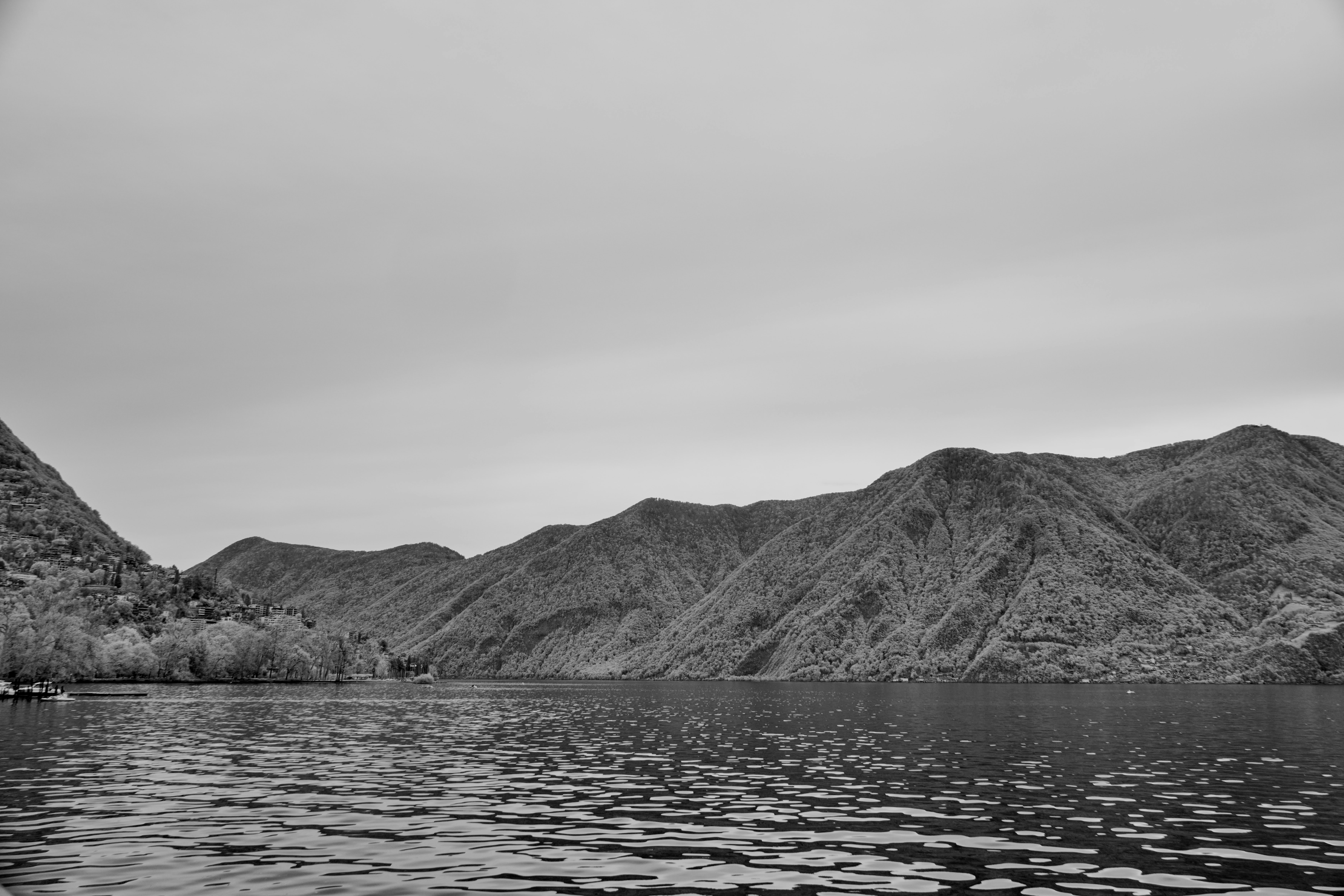 Photo by wolfgang_hasselmann