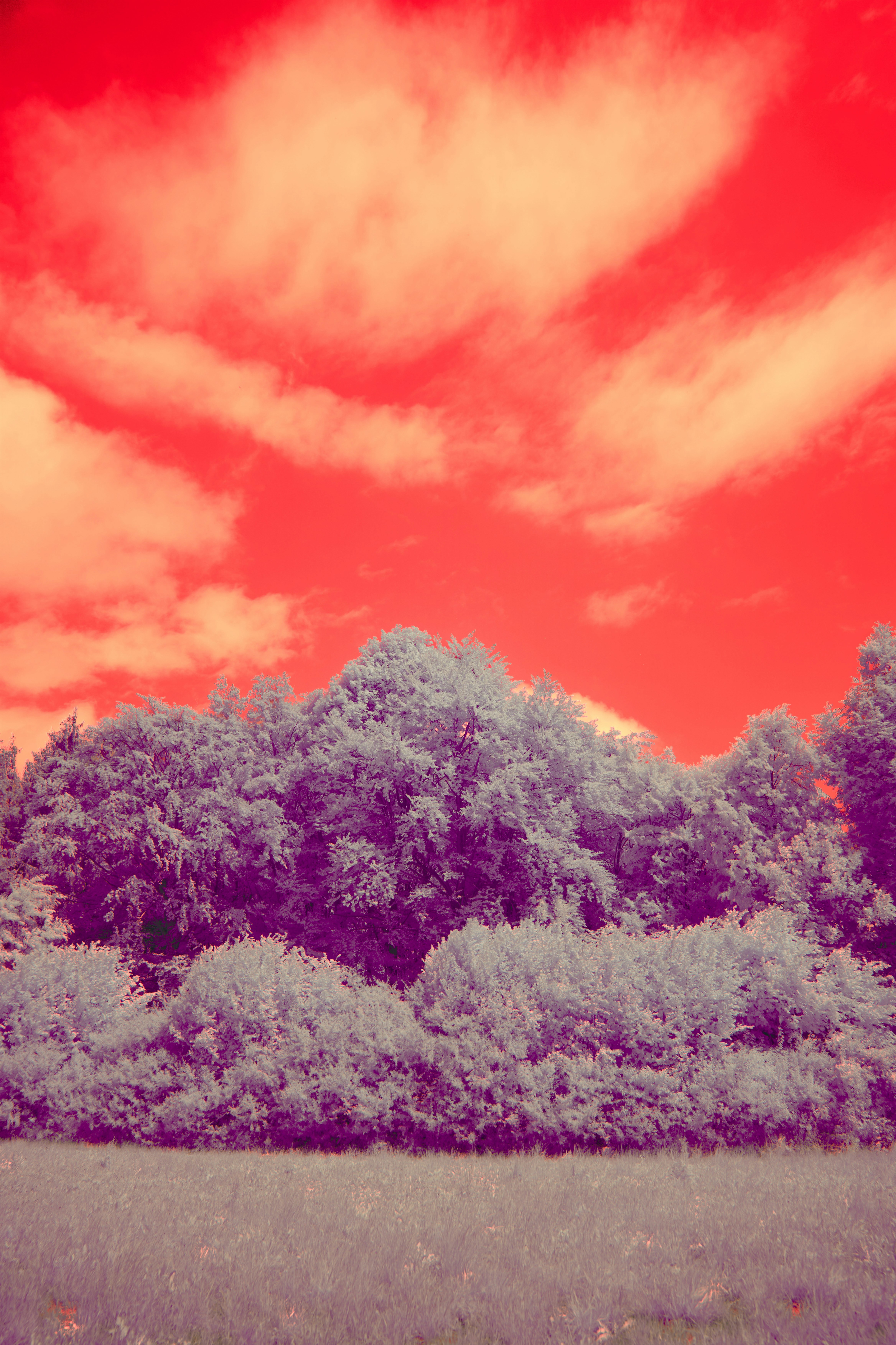 Photo by wolfgang_hasselmann