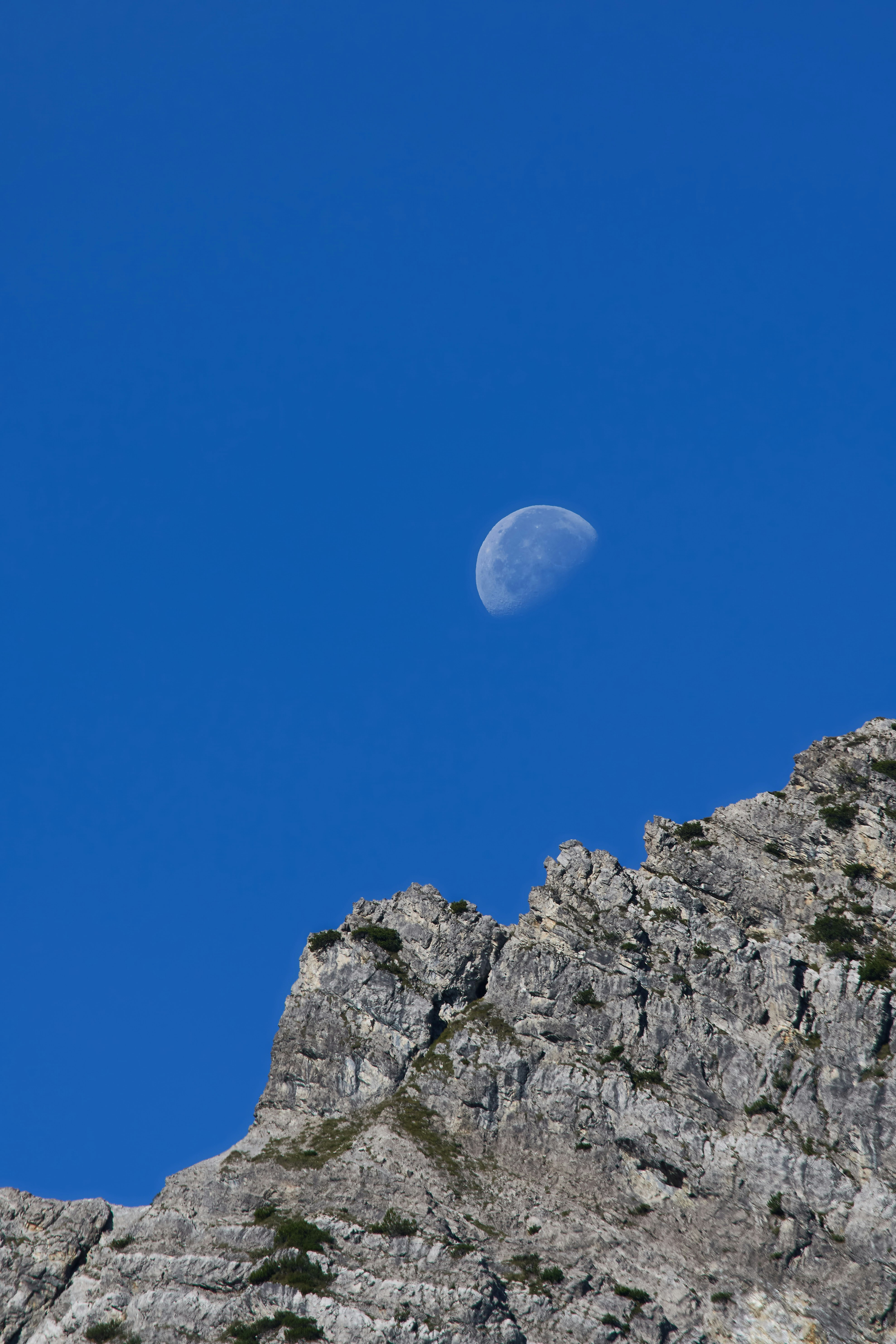 Photo by wolfgang_hasselmann