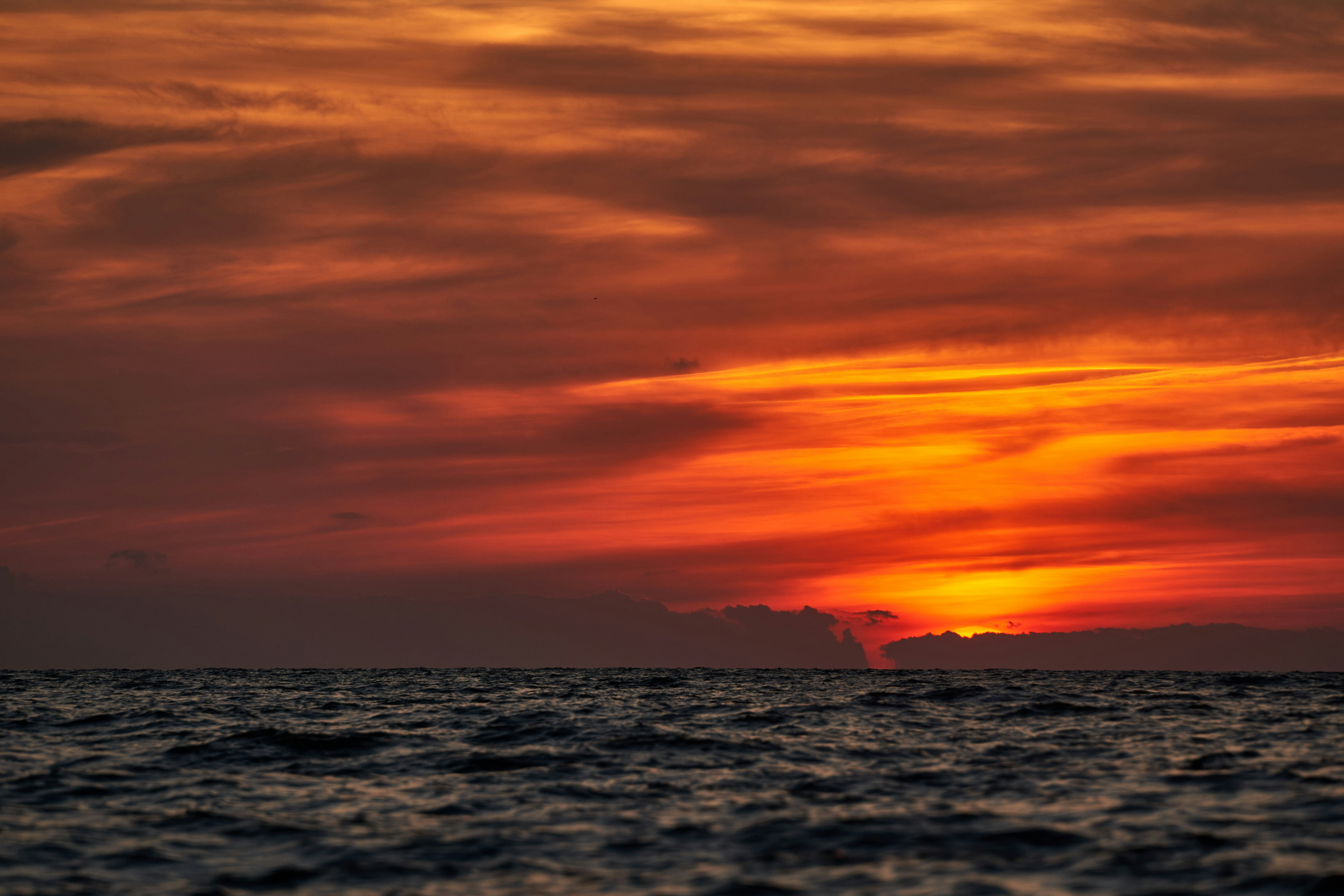 Photo by wolfgang_hasselmann