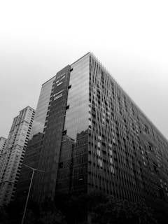 a black and white photo of a very tall building