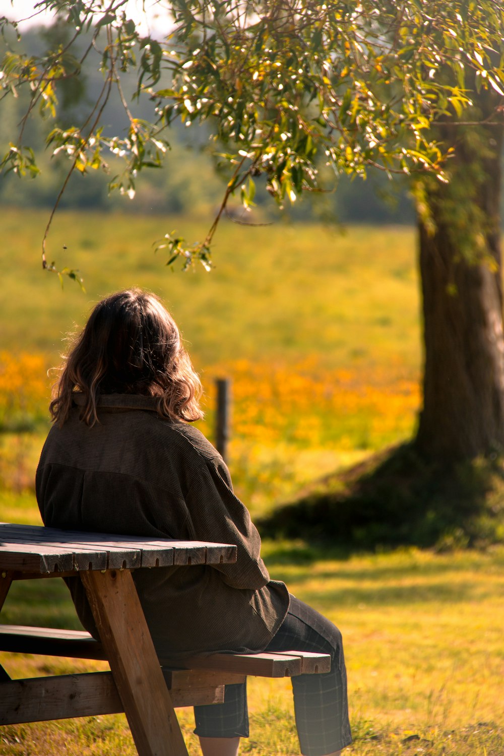 a person sitting on a bench under a tree