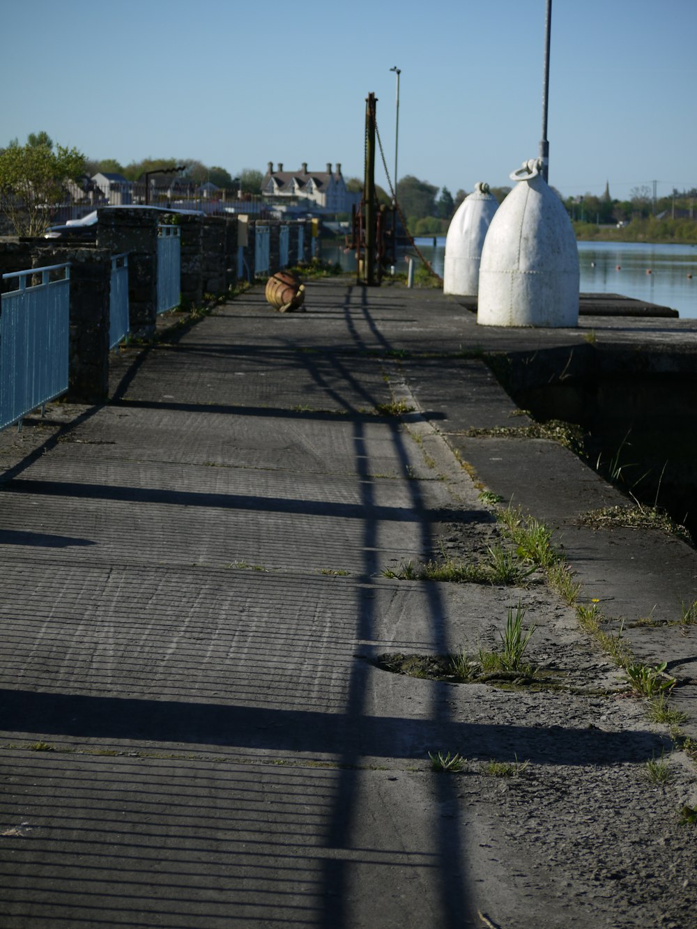 a view of a dock with a bird on it
