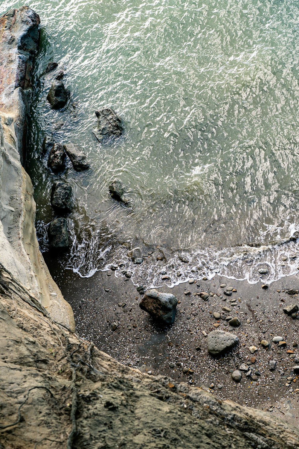 a bird is standing on a rock near the water