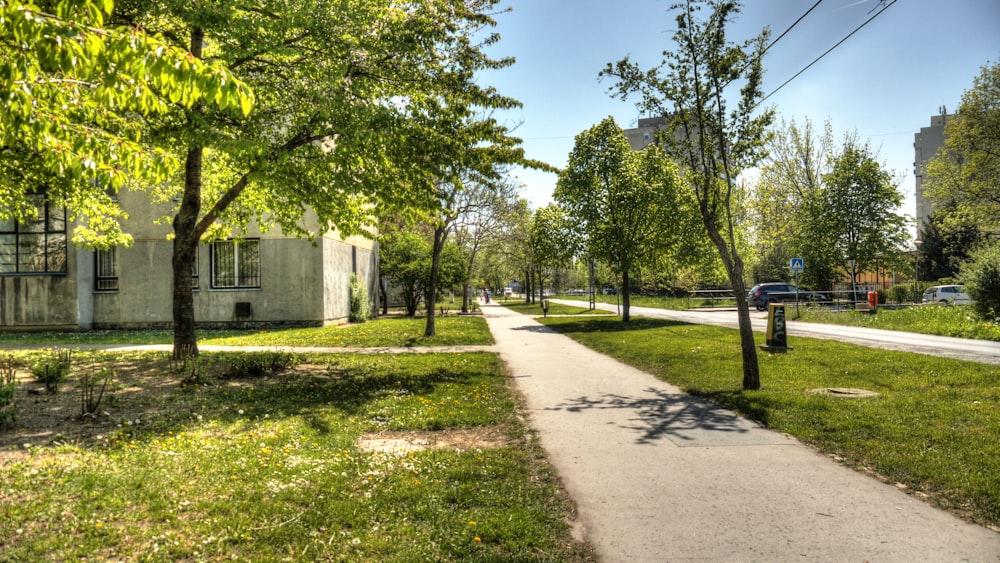 a sidewalk in the middle of a grassy area