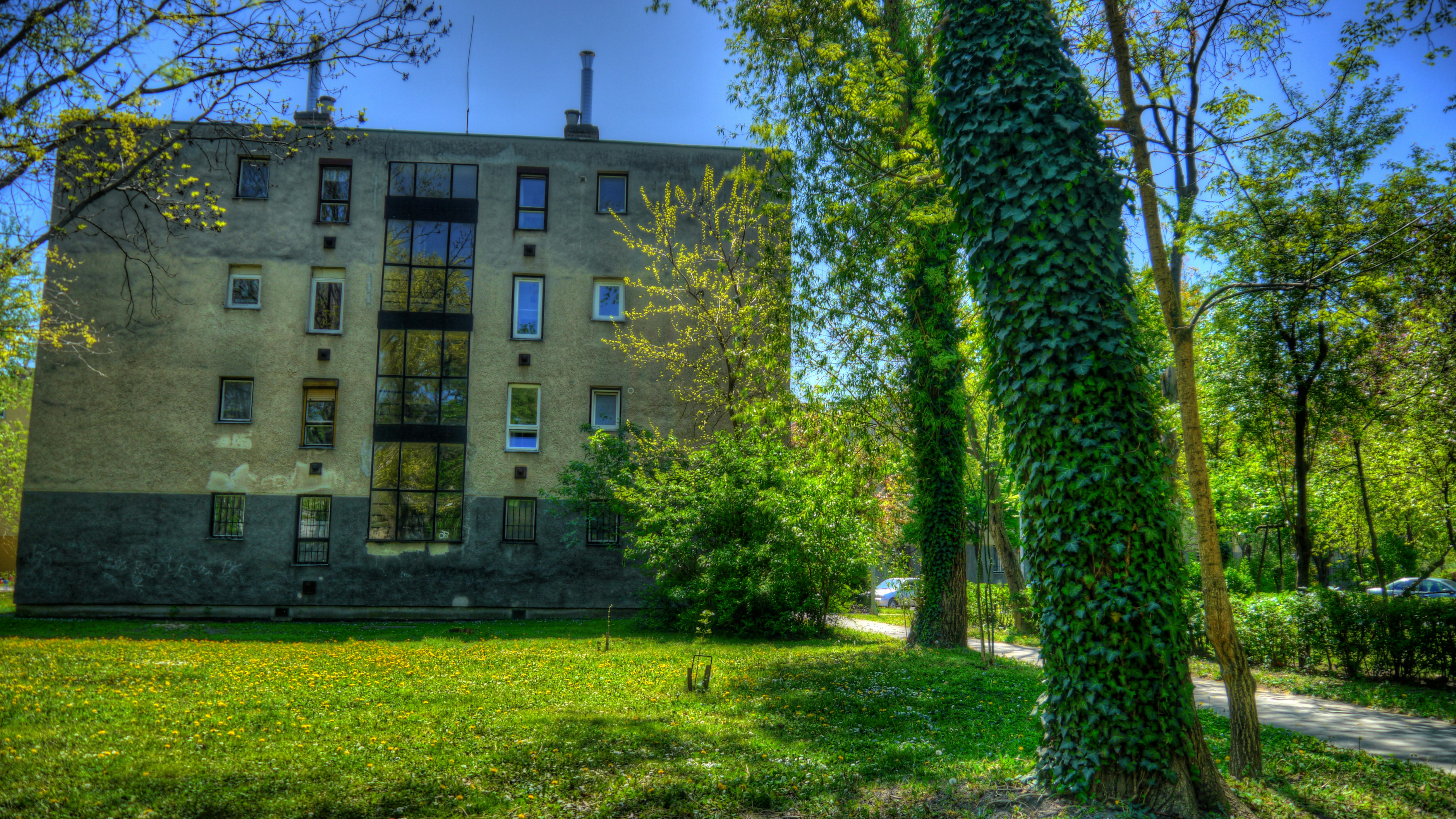 Photo by liftmanprod