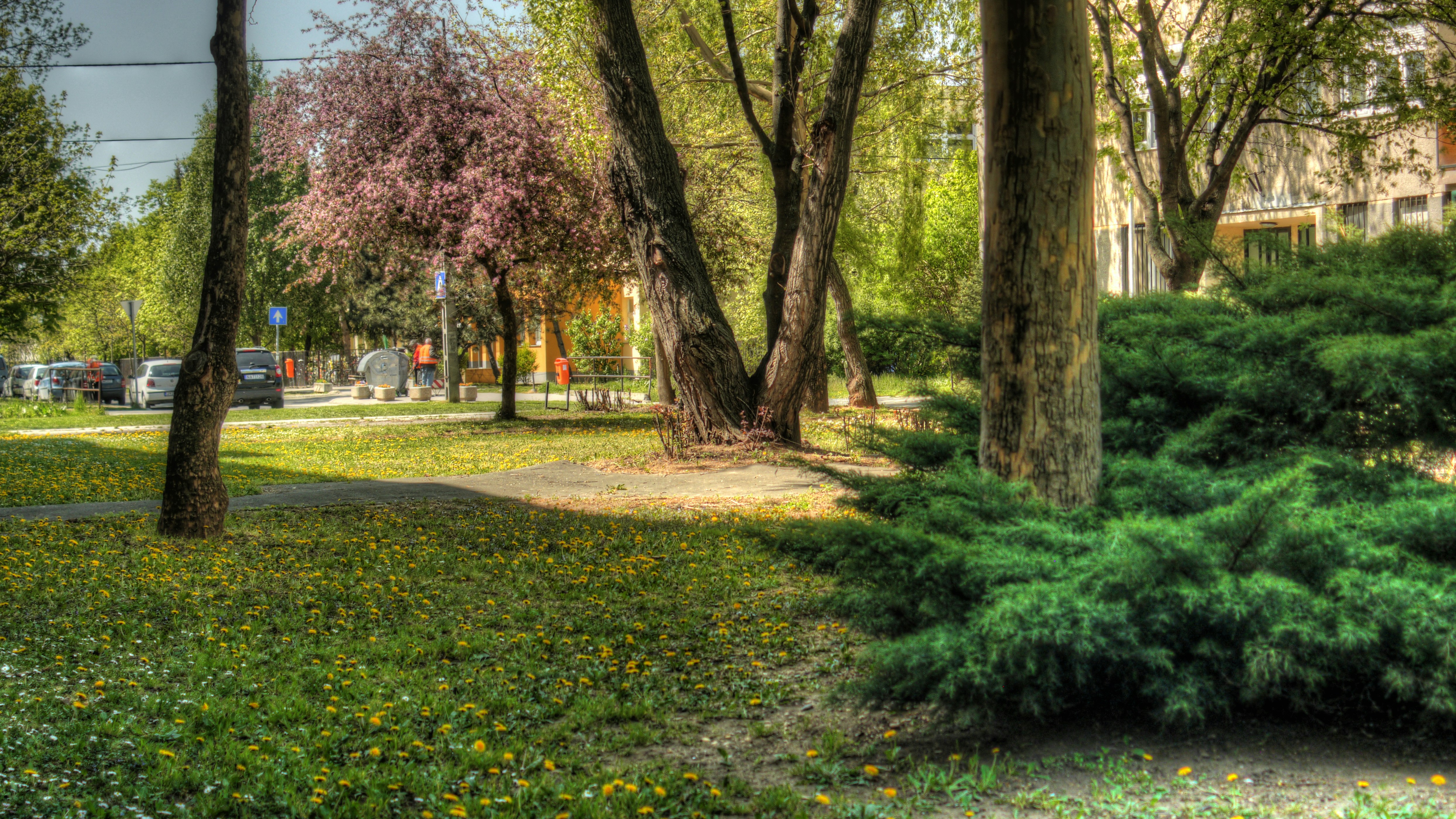 Photo by liftmanprod