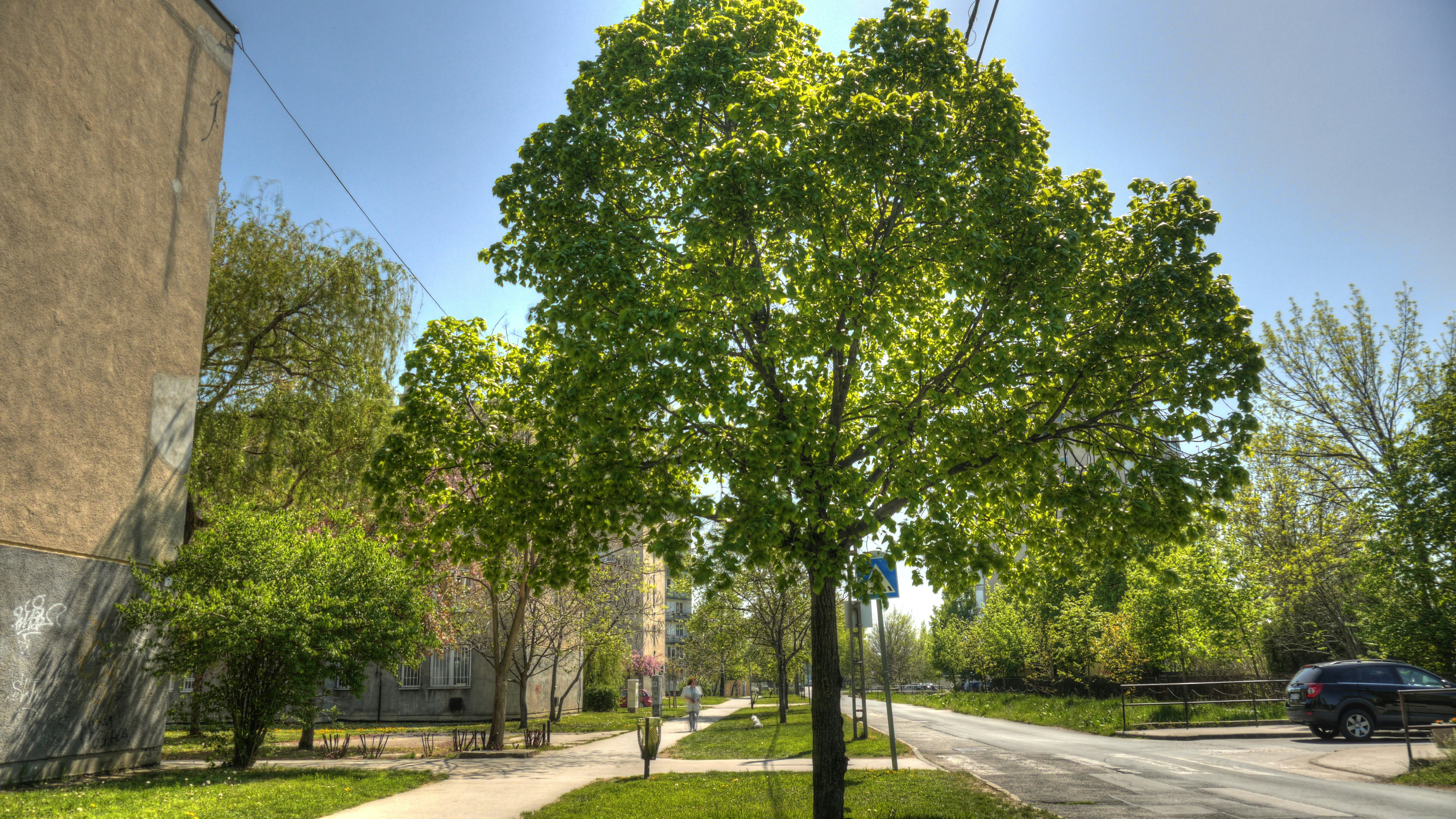 Photo by liftmanprod