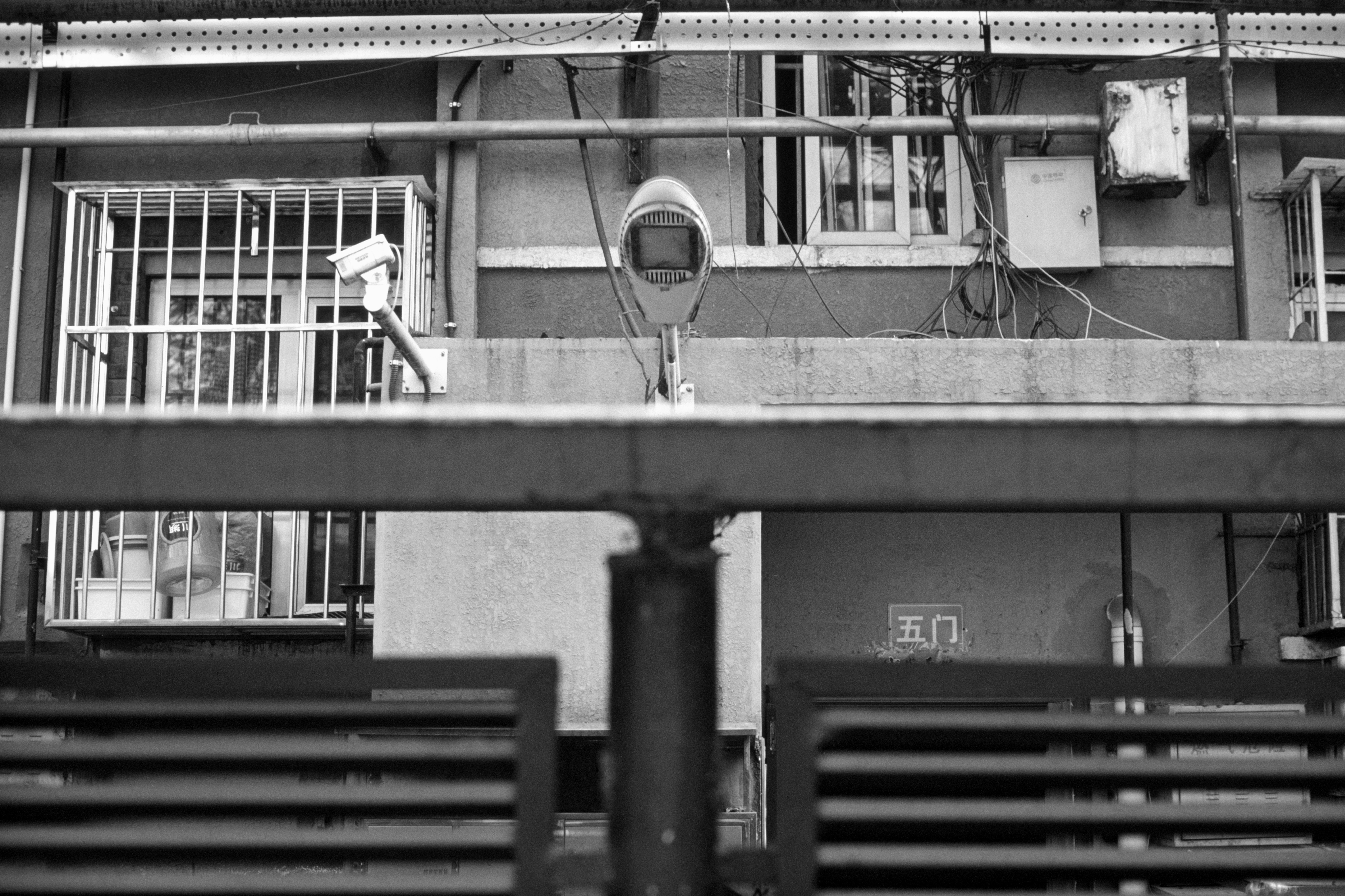 Photo by greedwolf97