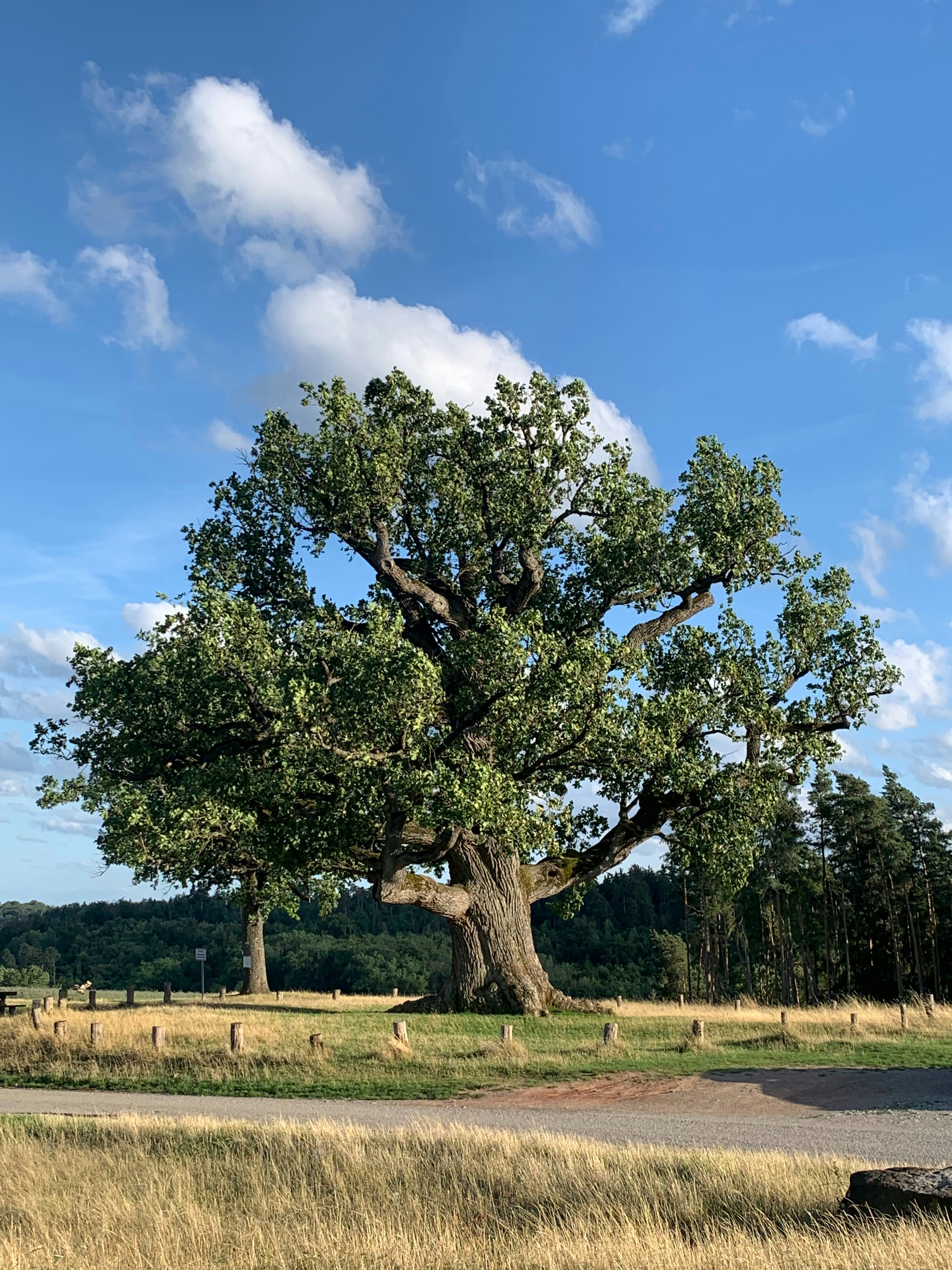 Photo by arashtarassoli