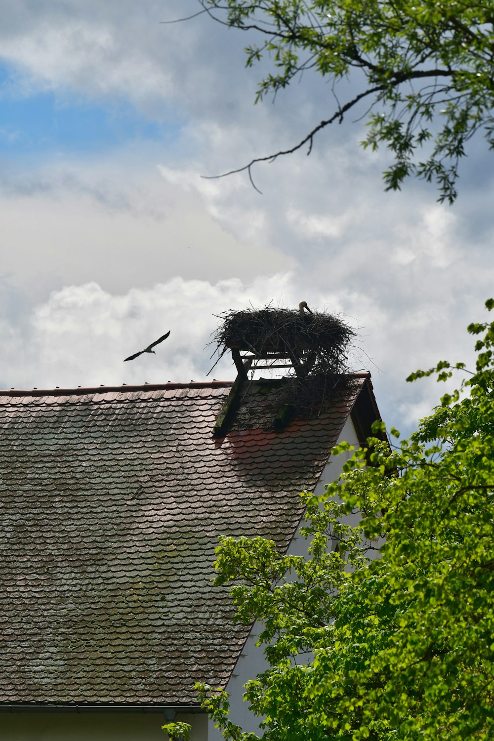 a bird sitting on top of a nest on top of a roof