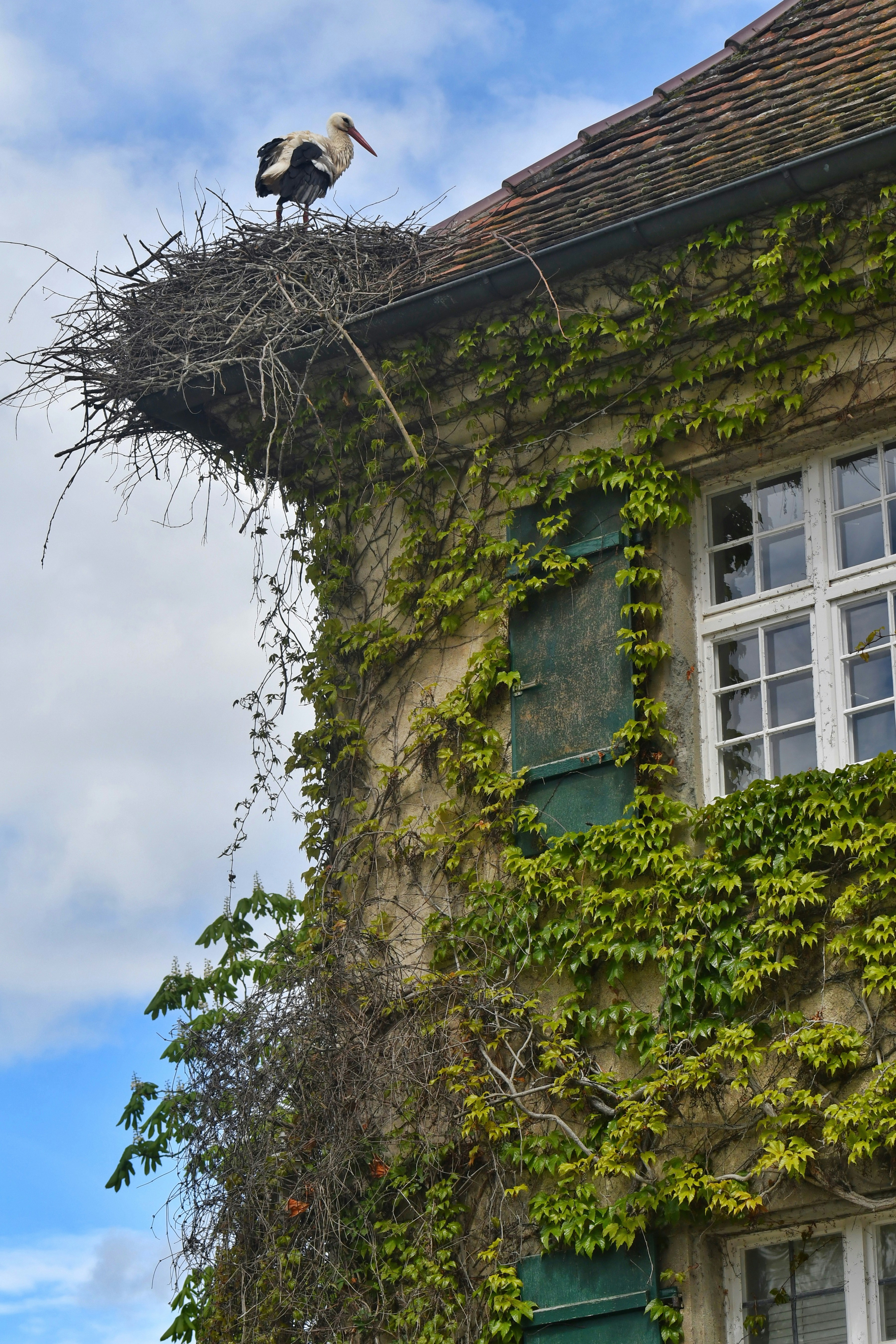 Photo by pedrino5_official