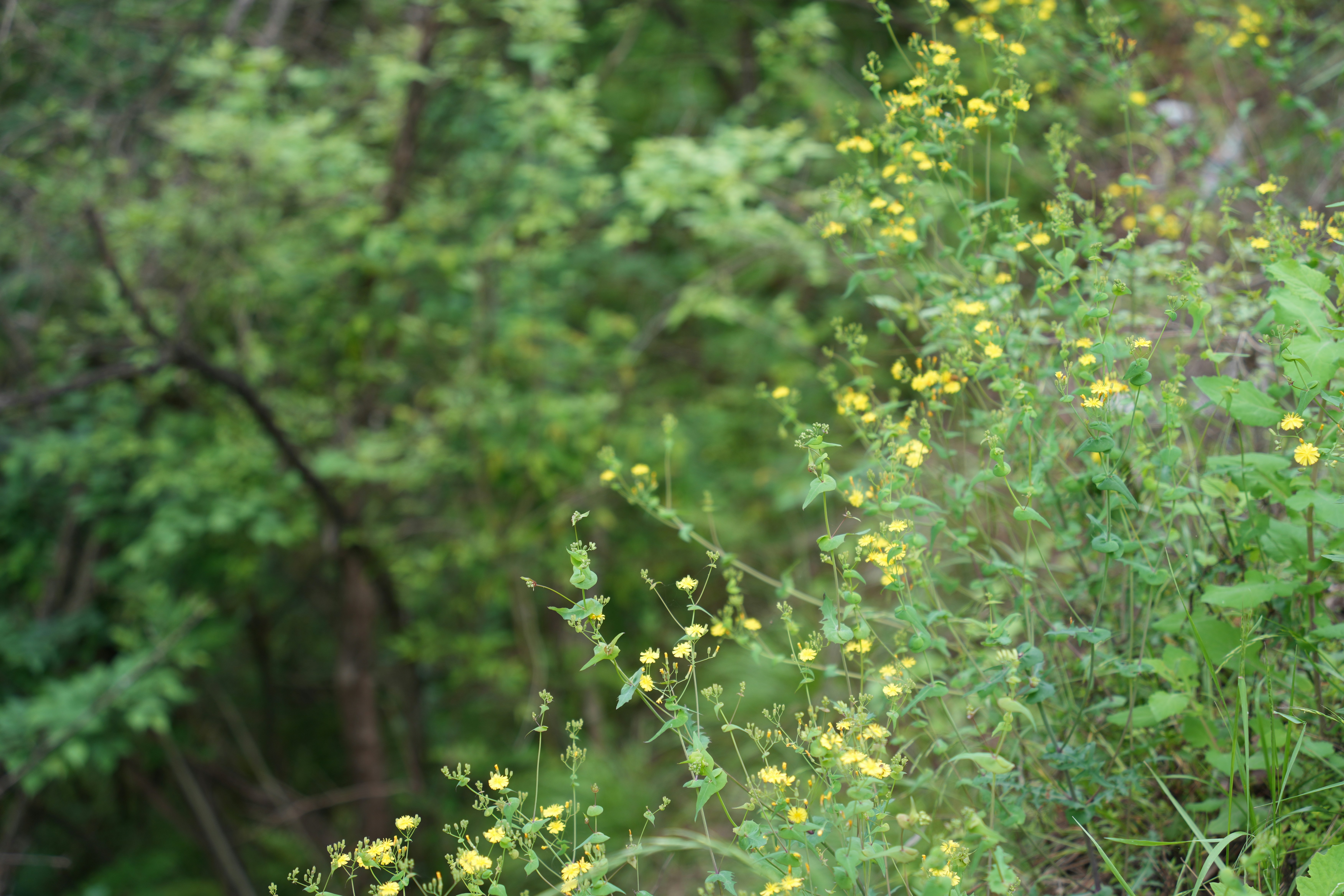 Photo by mrd_lt
