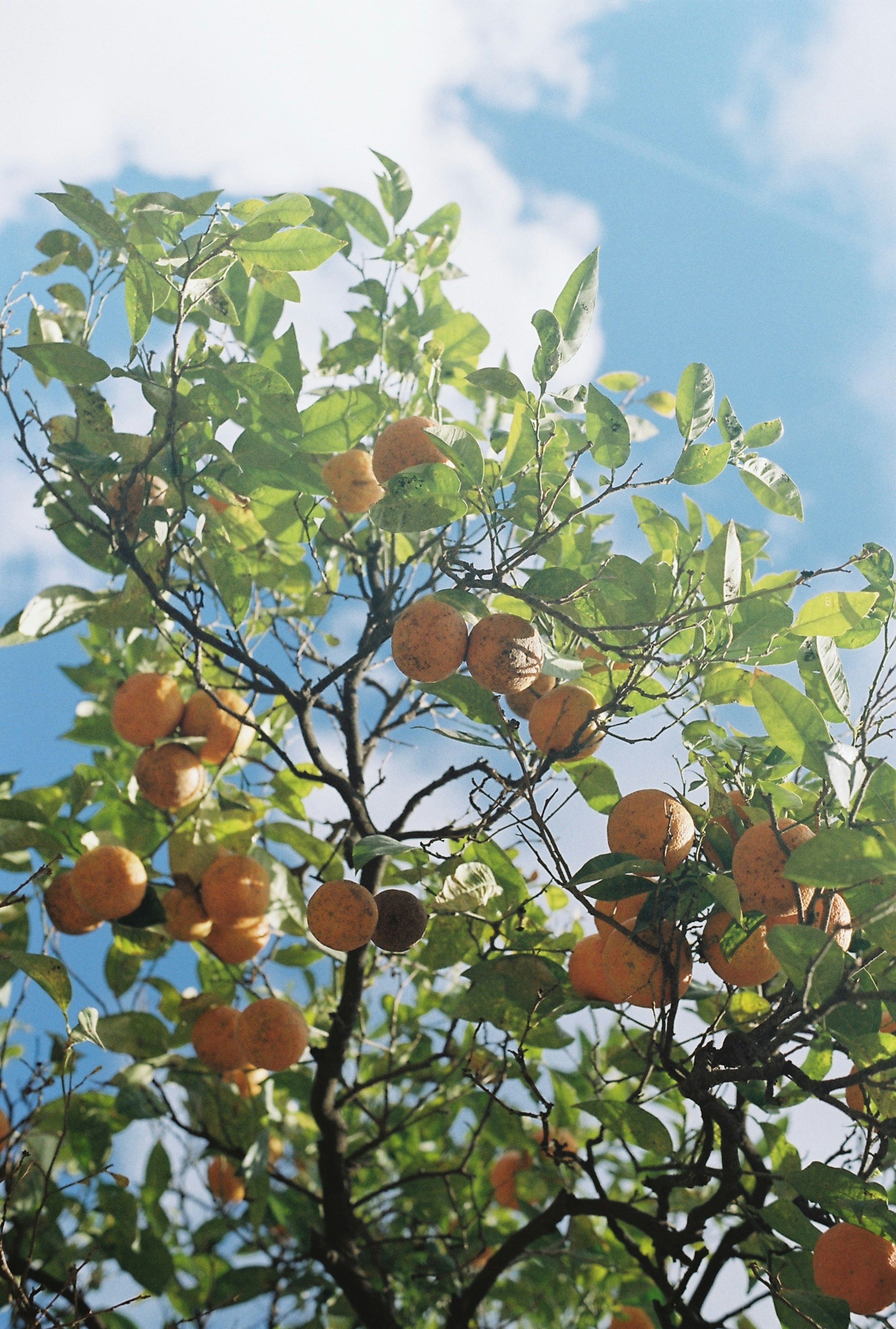 Photo by cestmoisheedy