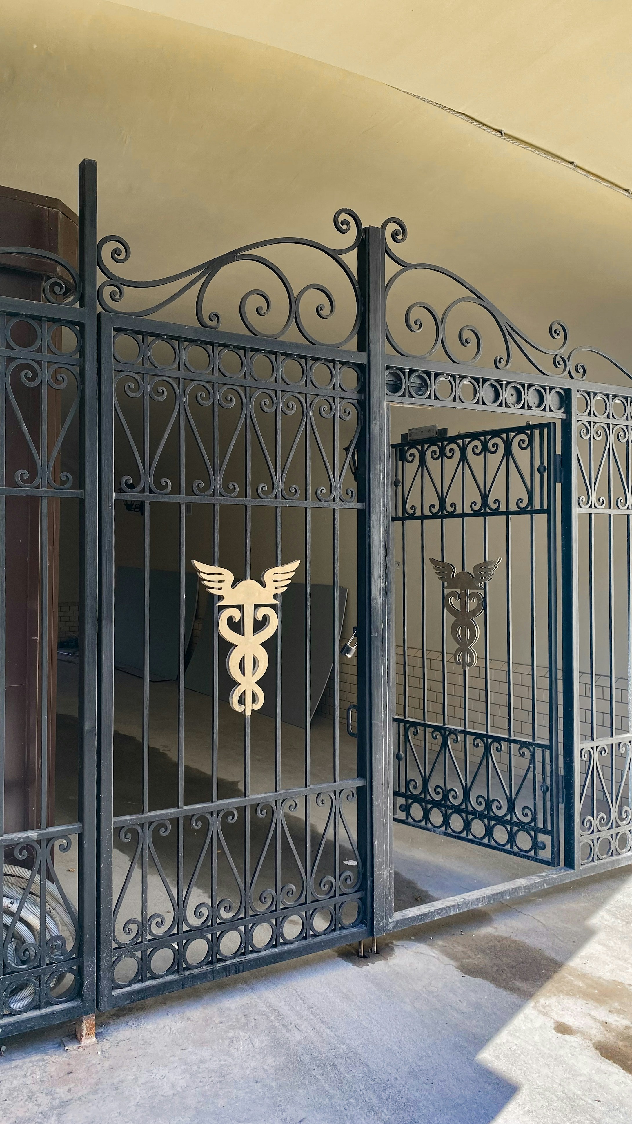 Customized modern gate with unique elements