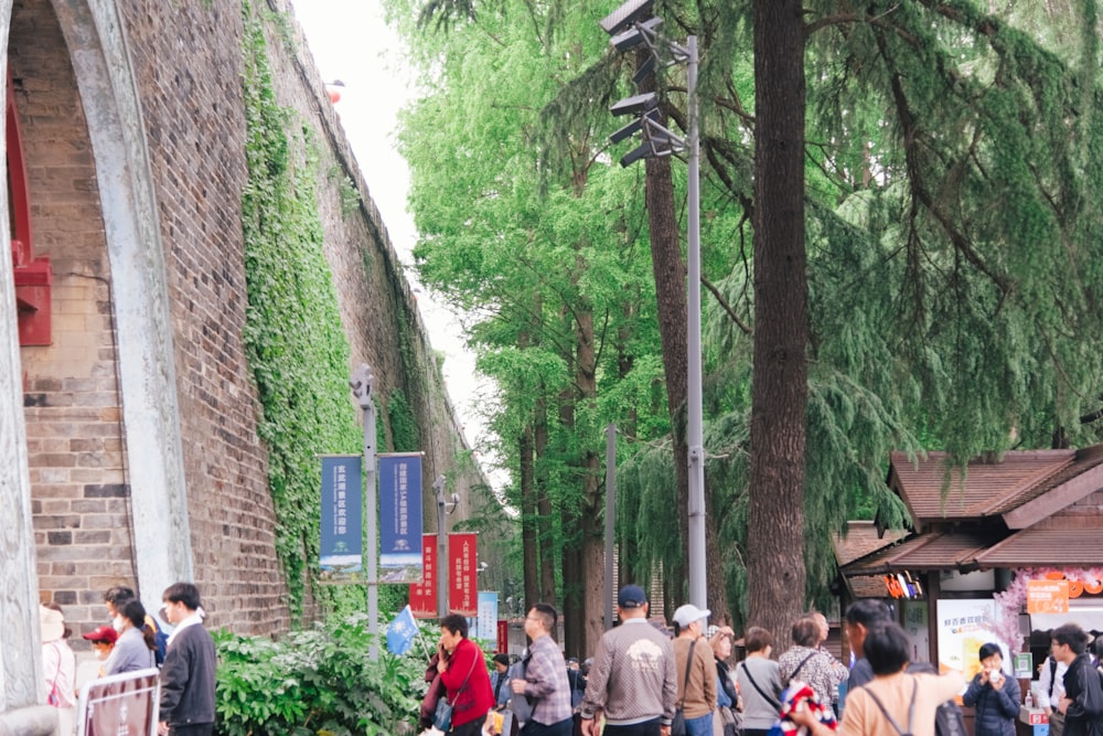 a group of people walking down a street next to a forest