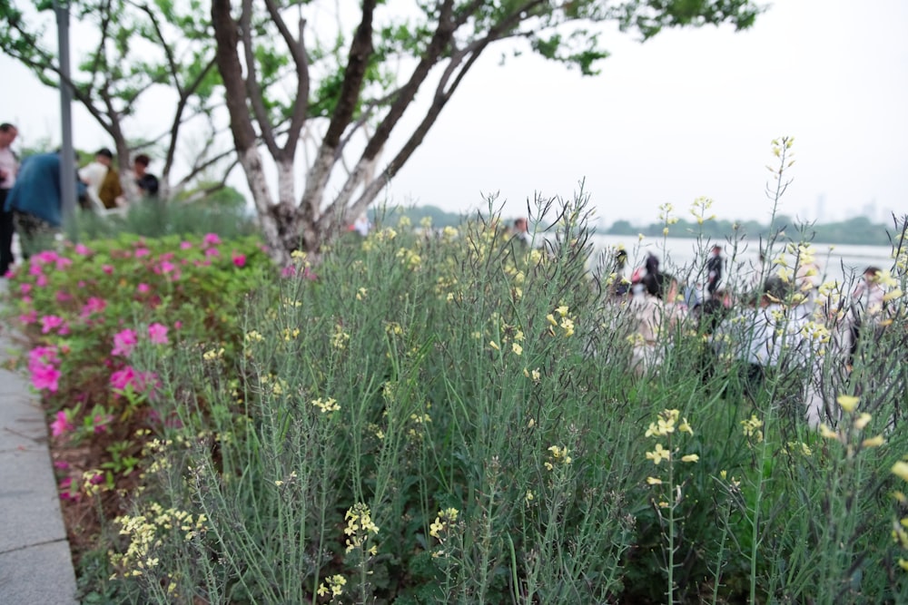 a group of people walking down a sidewalk next to flowers