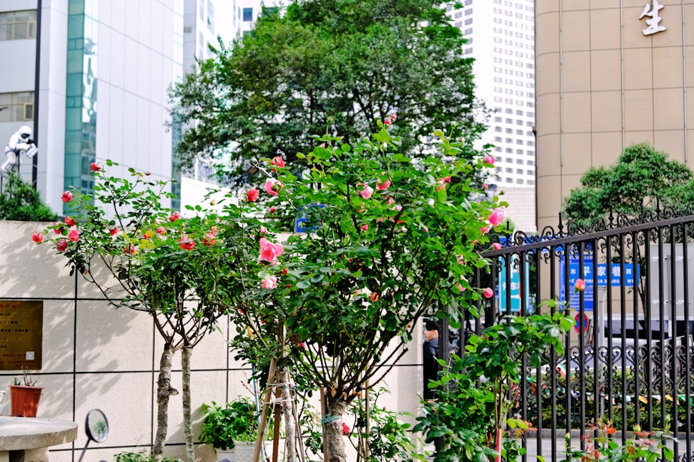 a group of potted plants in front of a building