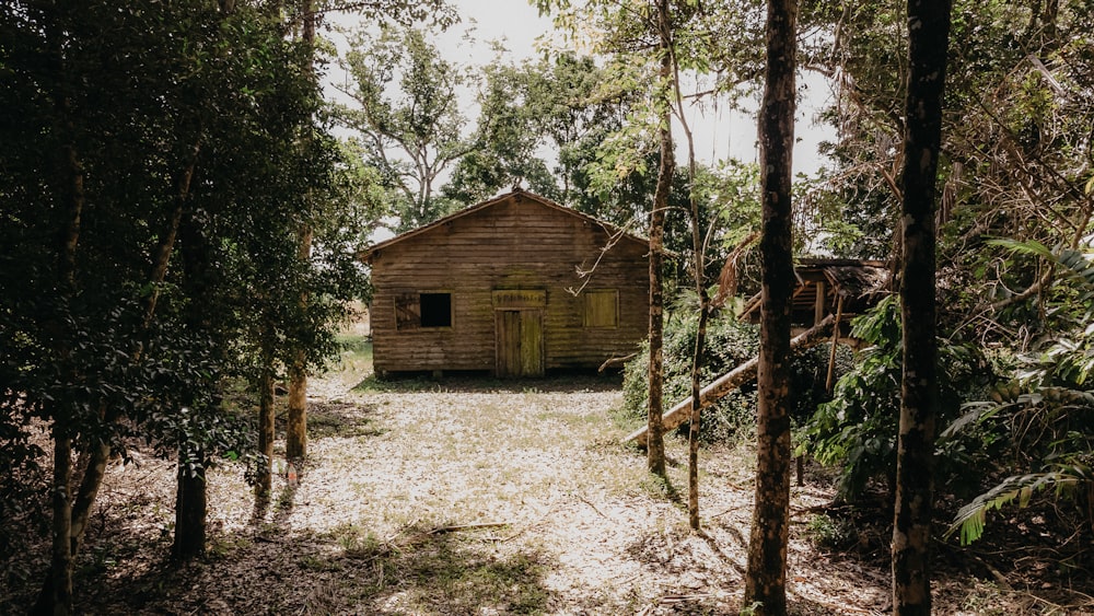 a small wooden building in the middle of a forest