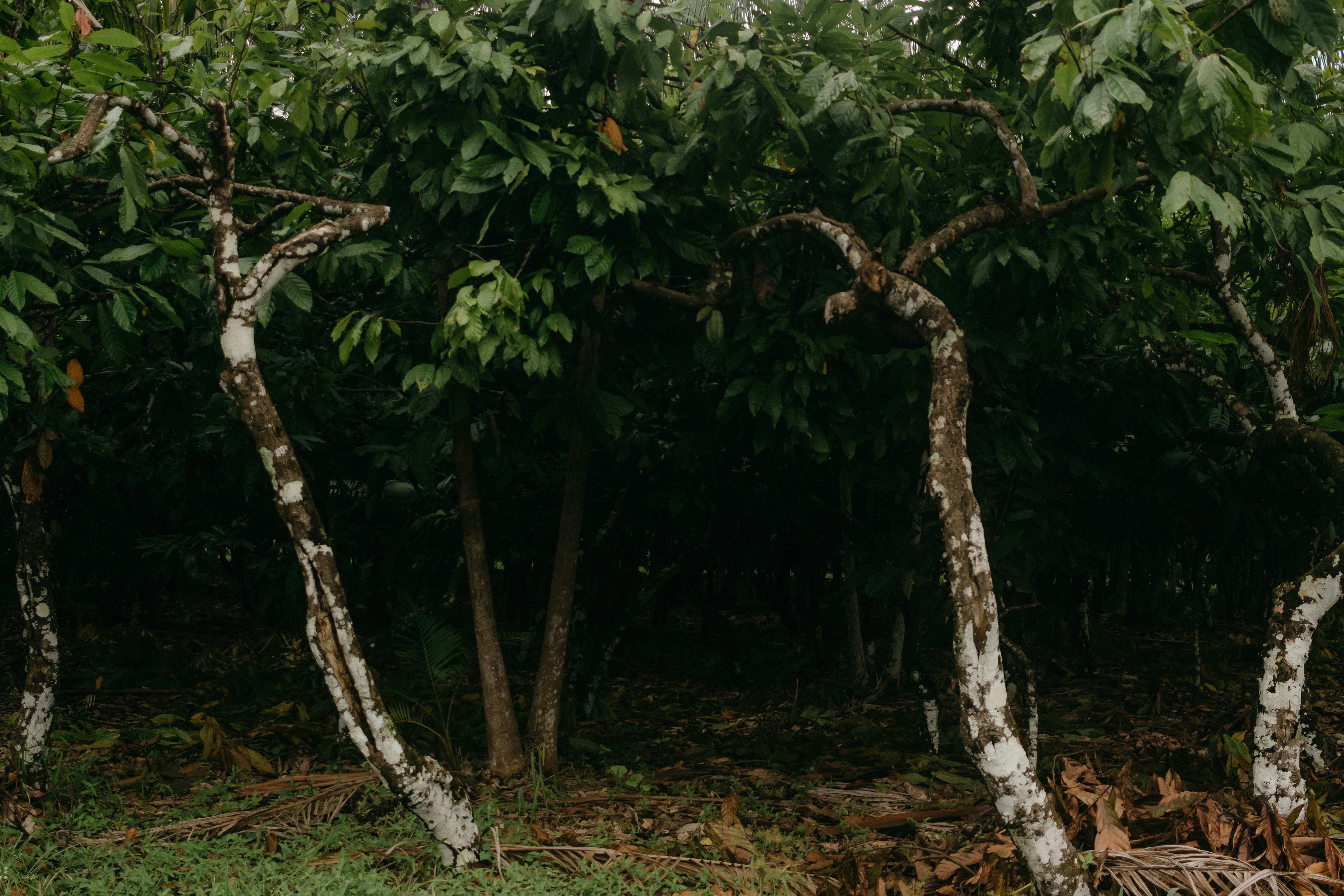 Photo by kawerodriguess