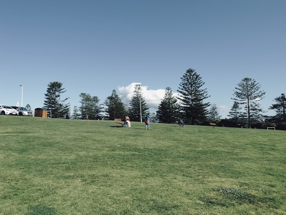 a group of people standing on top of a lush green field