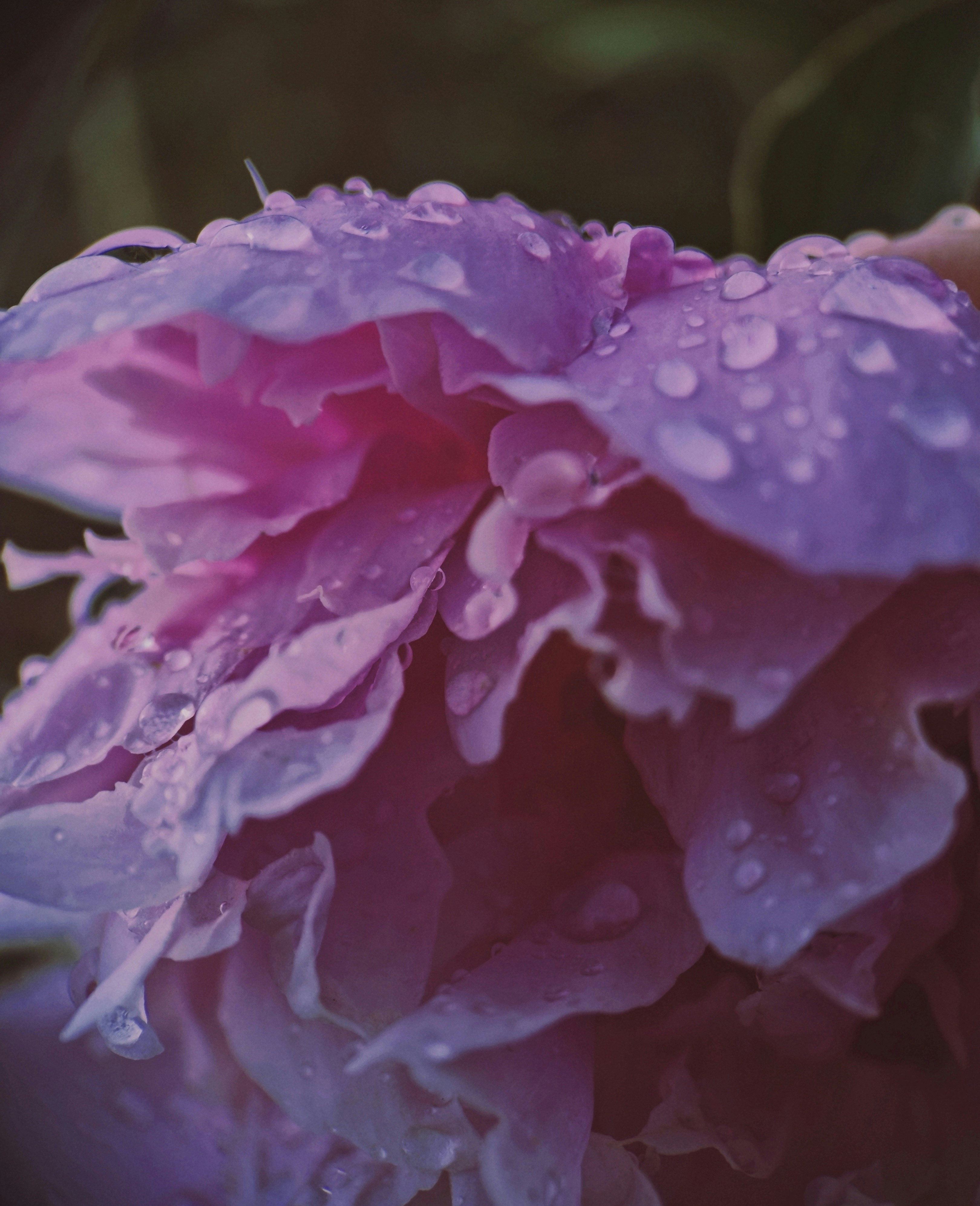 Photo by augb