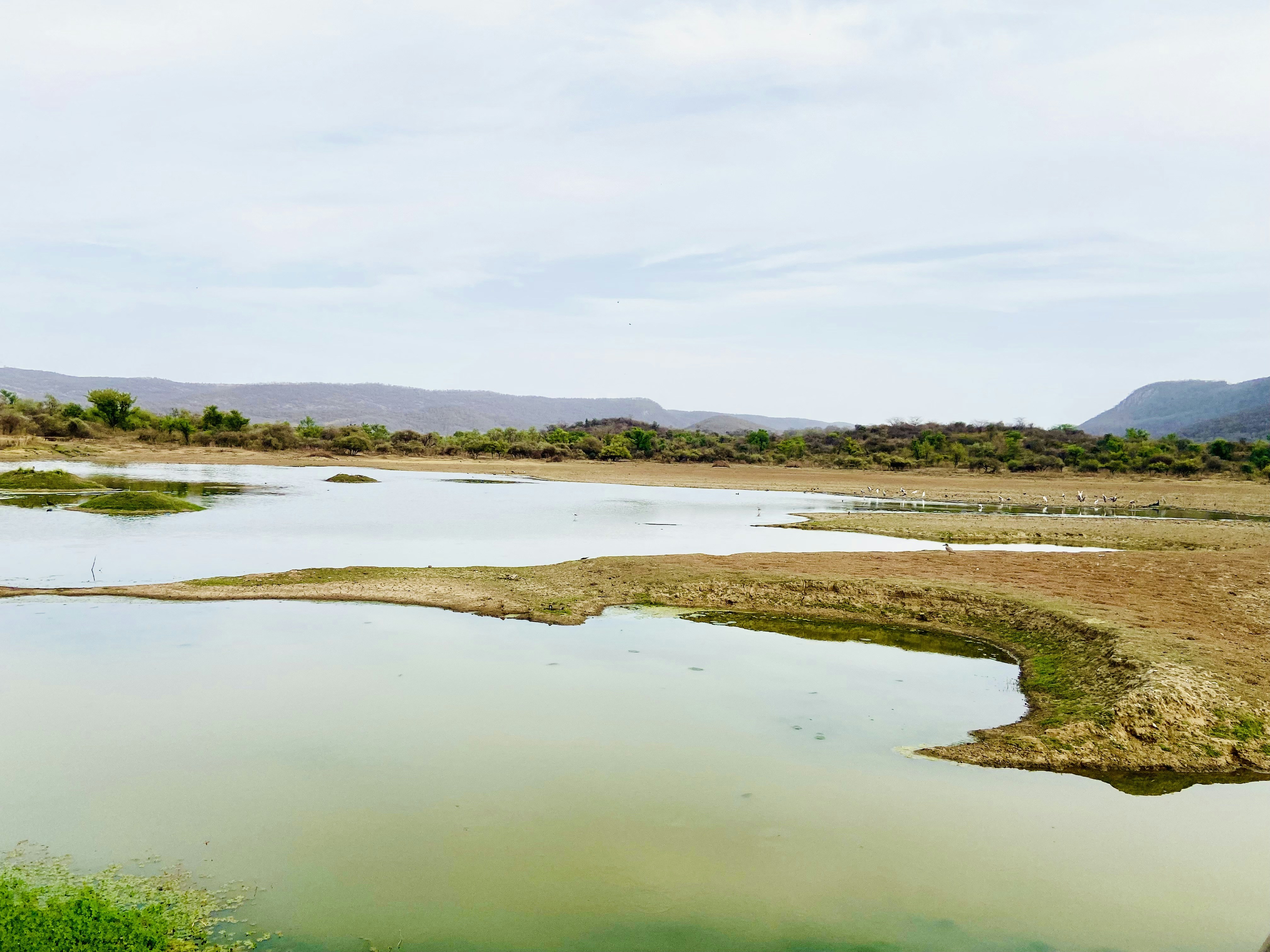 Photo by vivekkkaushik